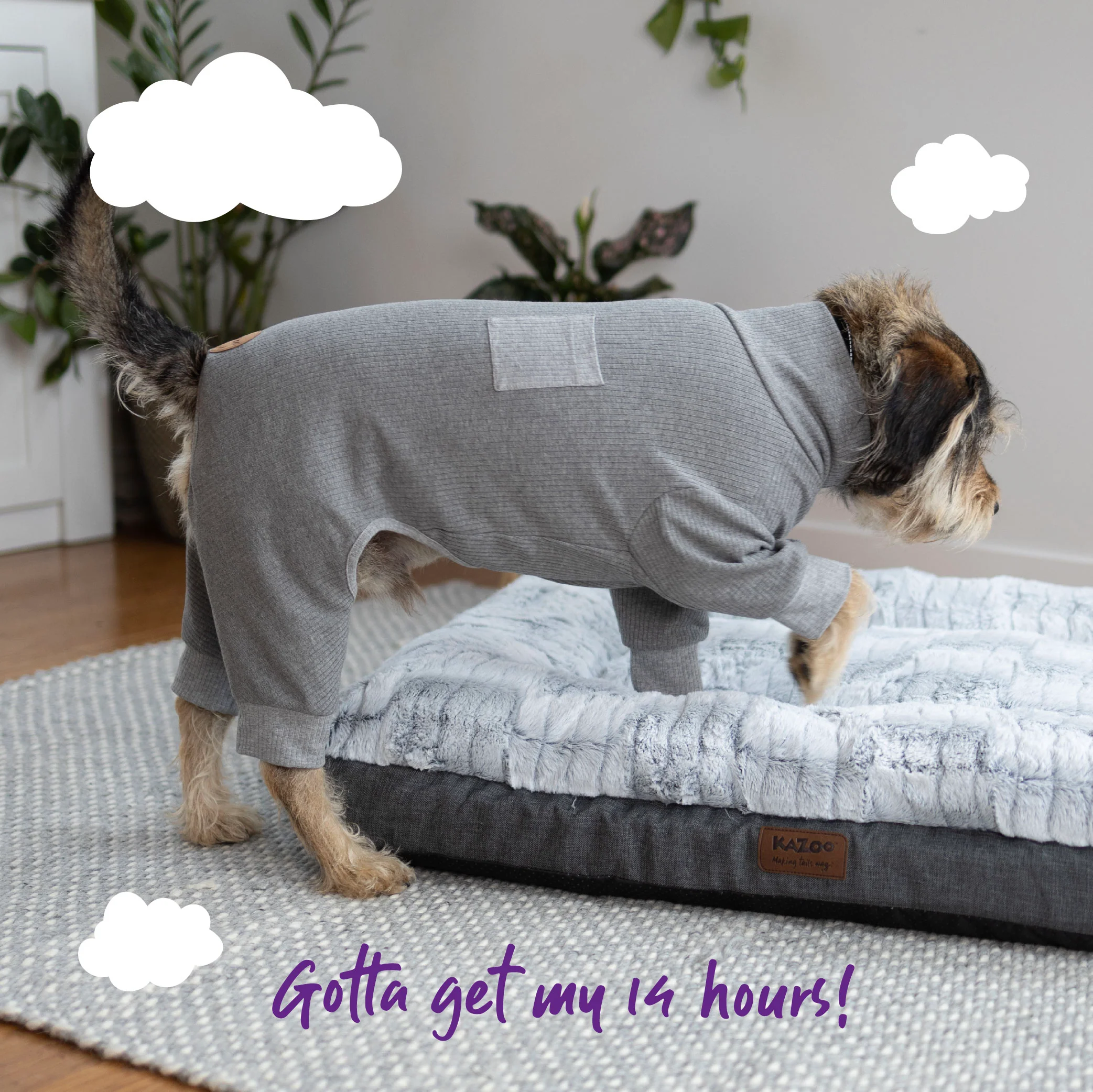 Long John Dog Pyjamas - Grey - Image 11