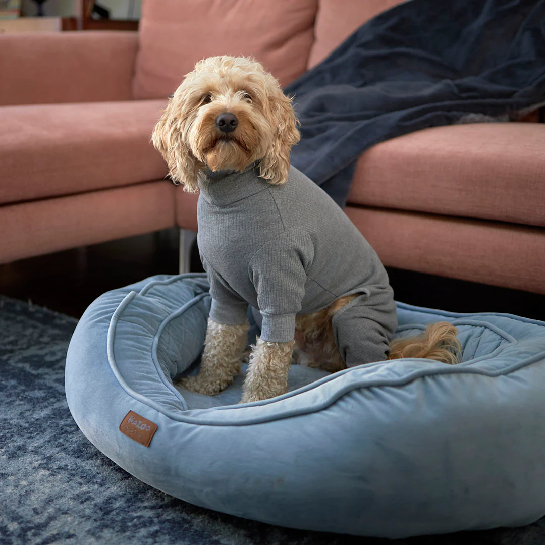 Long John Dog Pyjamas - Grey - Image 12