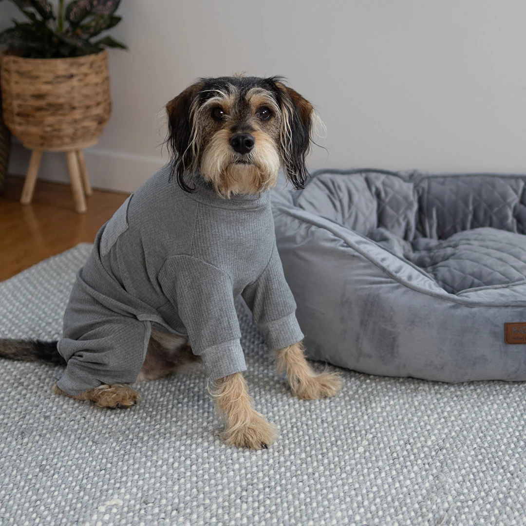 Long John Dog Pyjamas - Grey - Image 13