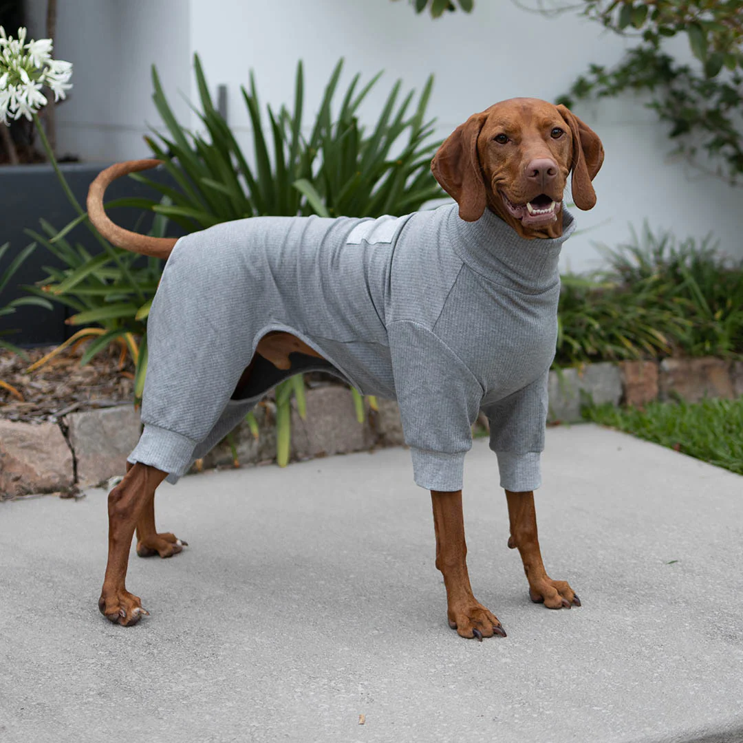 Long John Dog Pyjamas - Grey - Image 4