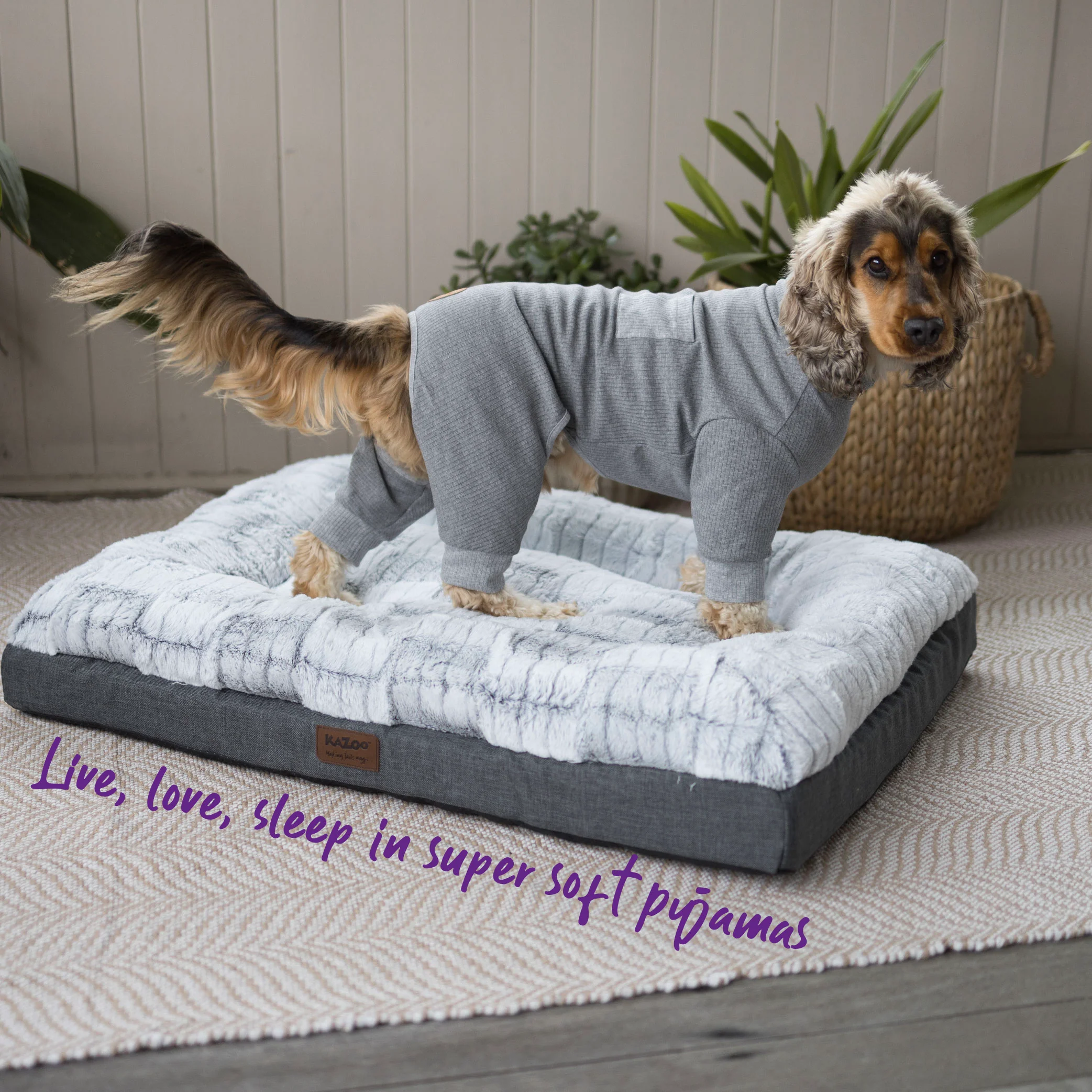 Long John Dog Pyjamas - Grey - Image 5
