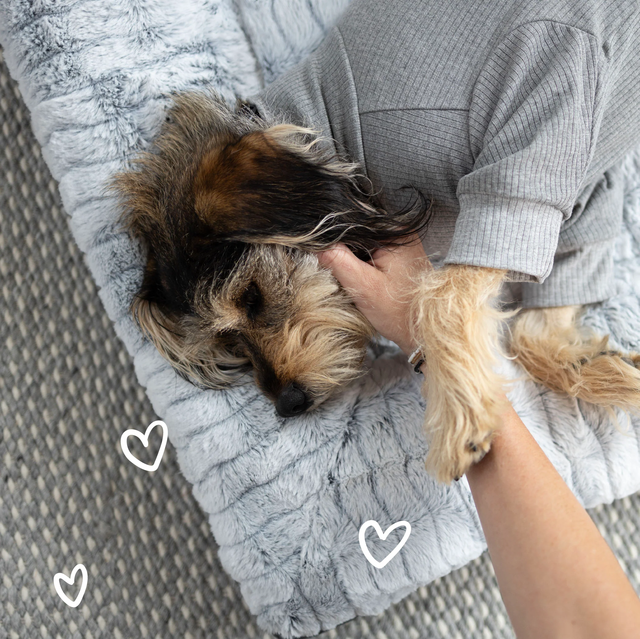 Long John Dog Pyjamas - Grey - Image 6