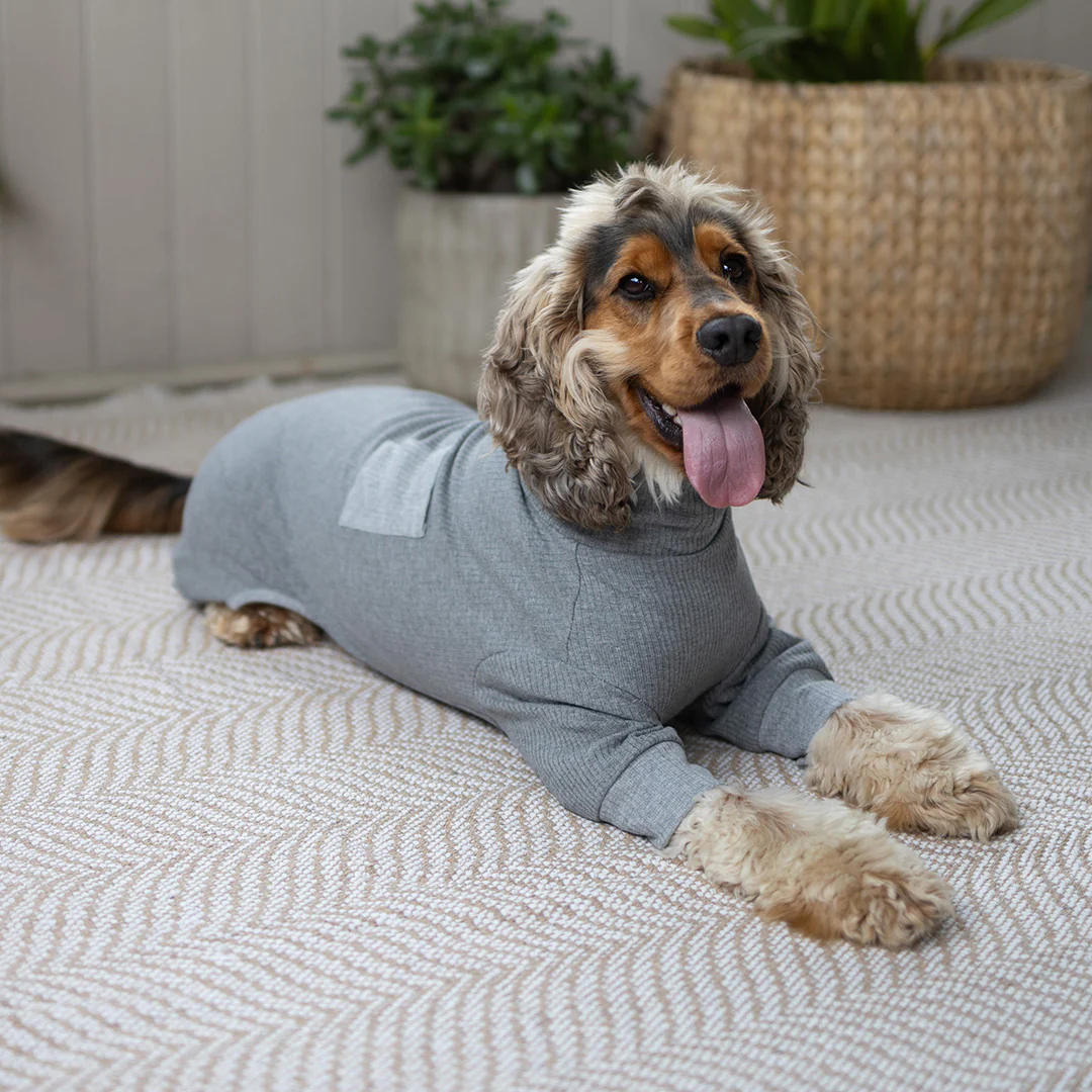 Long John Dog Pyjamas - Grey - Image 7