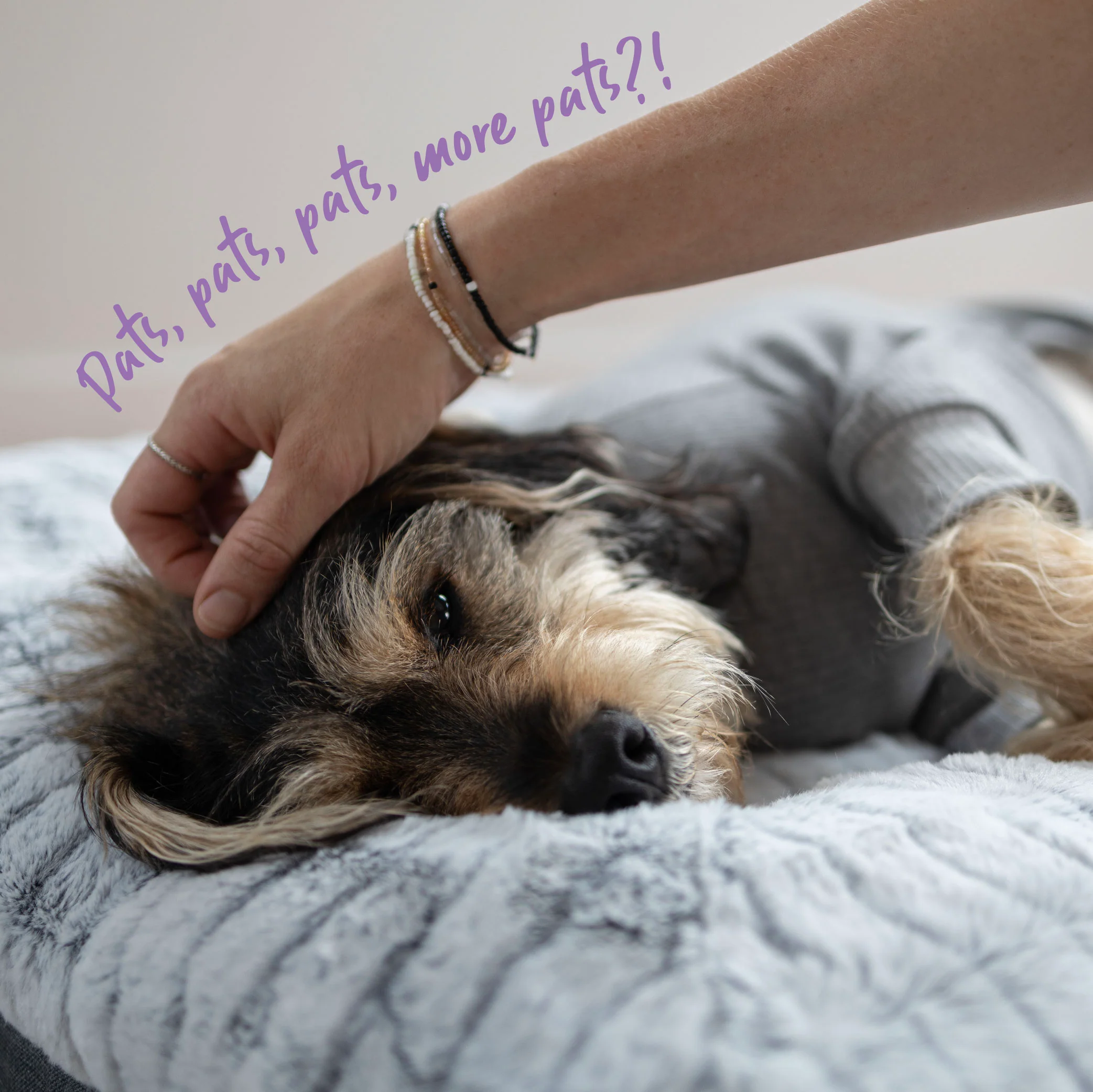 Long John Dog Pyjamas - Grey - Image 9