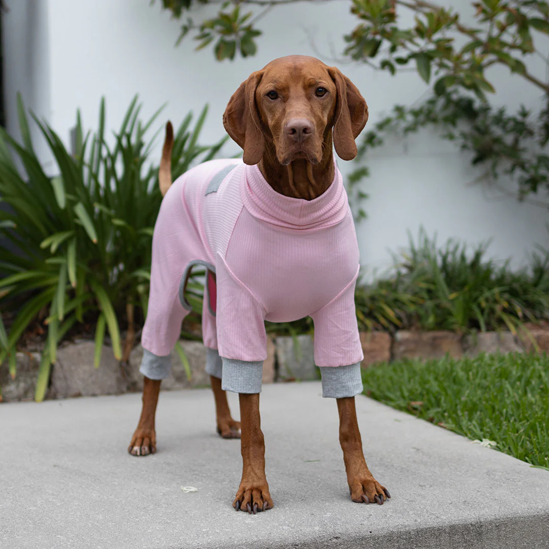 Long John Dog Pyjamas - Pink - Image 11