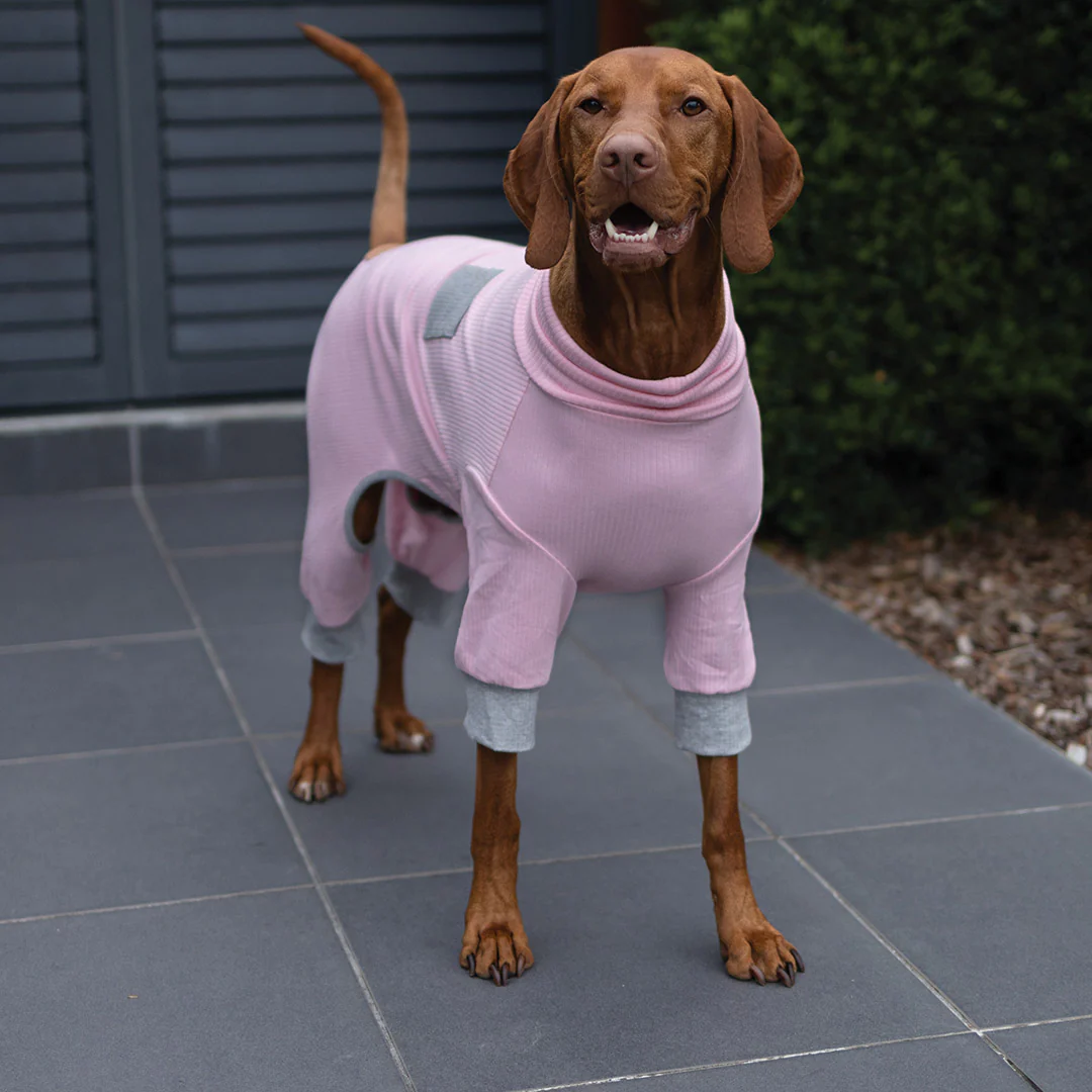 Long John Dog Pyjamas - Pink - Image 12