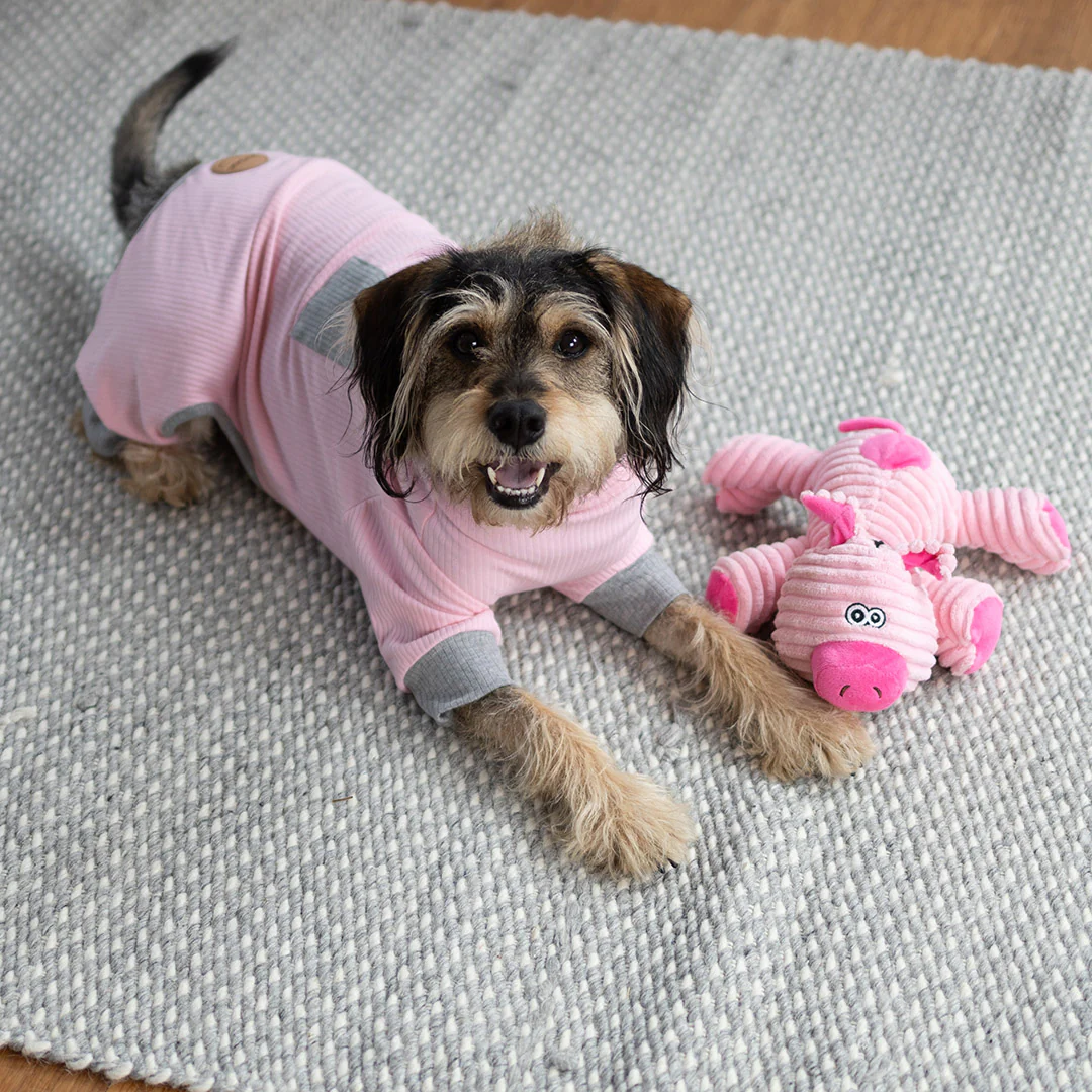 Long John Dog Pyjamas - Pink - Image 13
