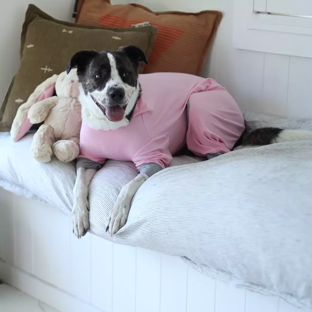 Long John Dog Pyjamas - Pink - Image 3