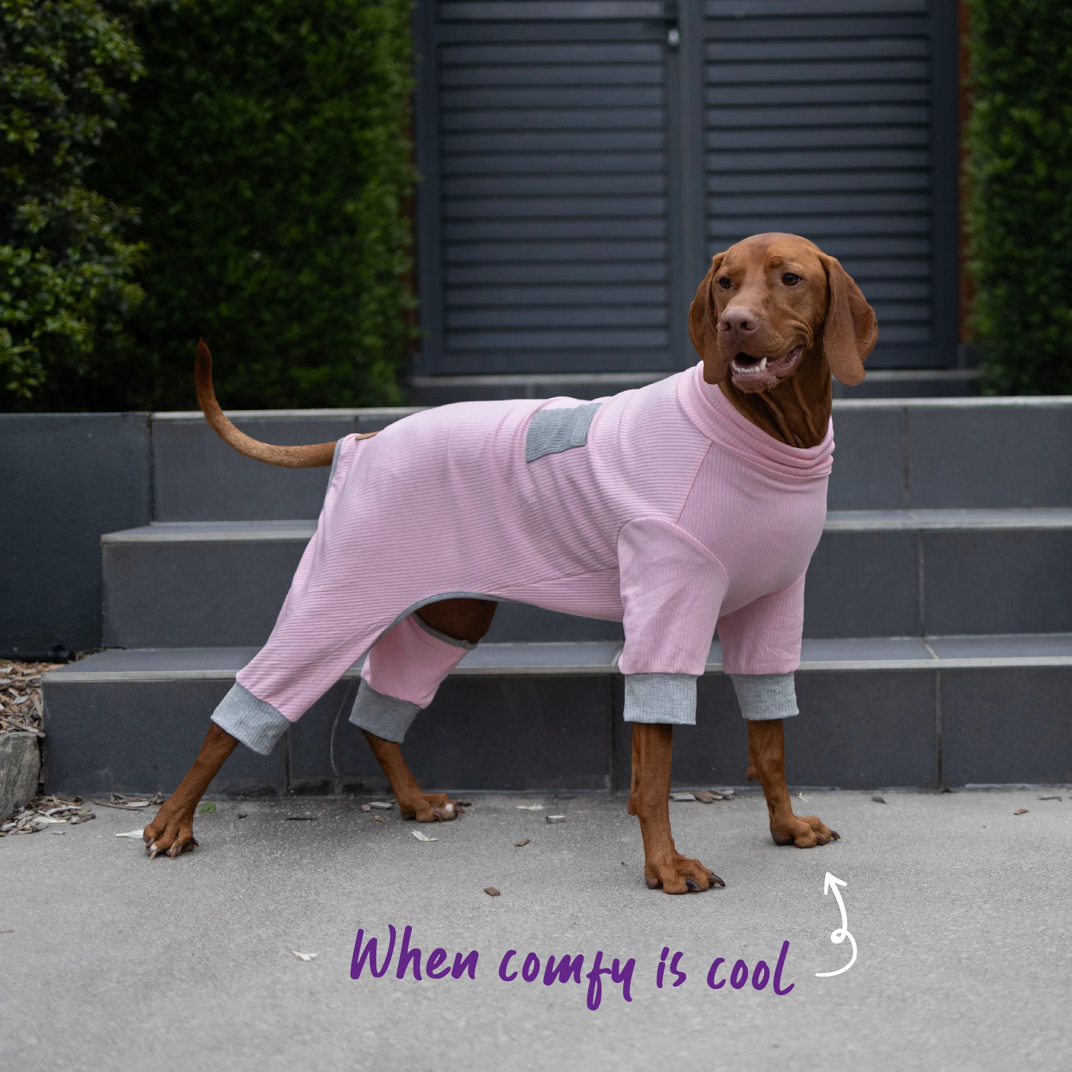 Long John Dog Pyjamas - Pink - Image 4
