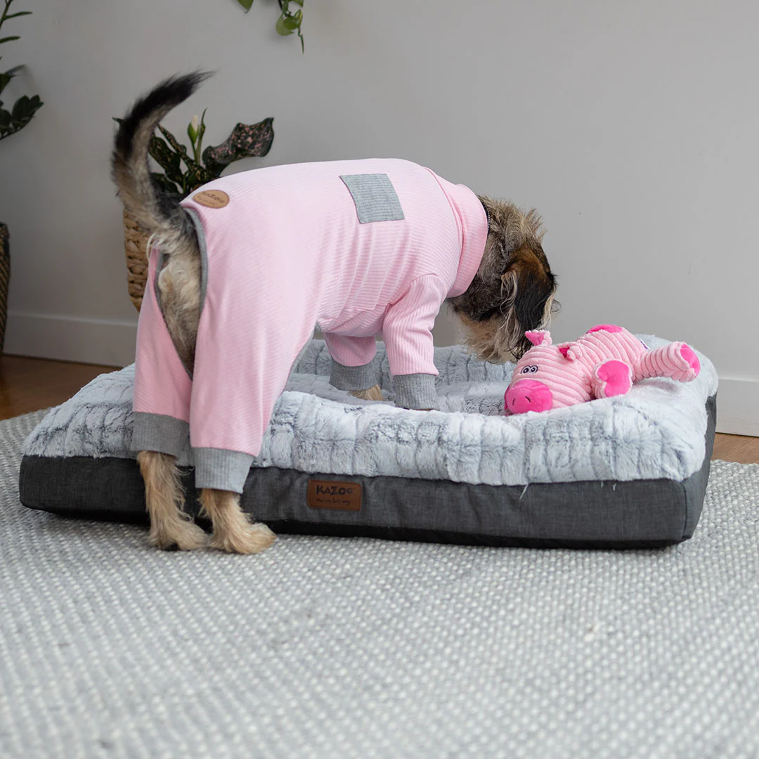 Long John Dog Pyjamas - Pink - Image 5