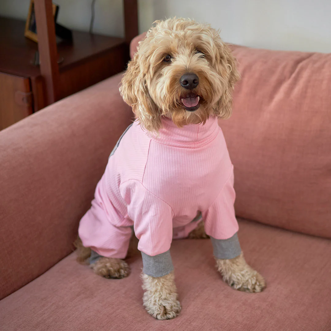 Long John Dog Pyjamas - Pink - Image 6