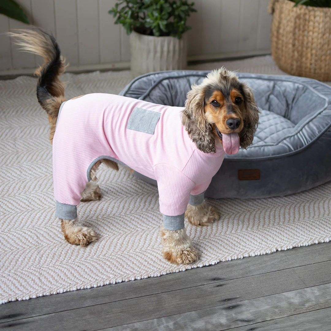 Long John Dog Pyjamas - Pink - Image 7
