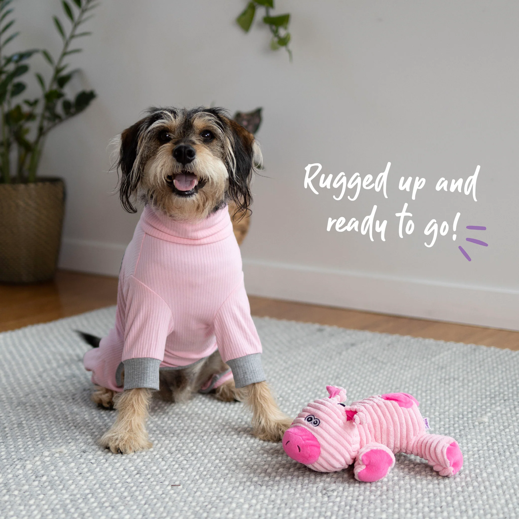 Long John Dog Pyjamas - Pink - Image 8