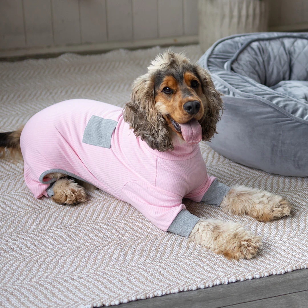 Long John Dog Pyjamas - Pink - Image 9
