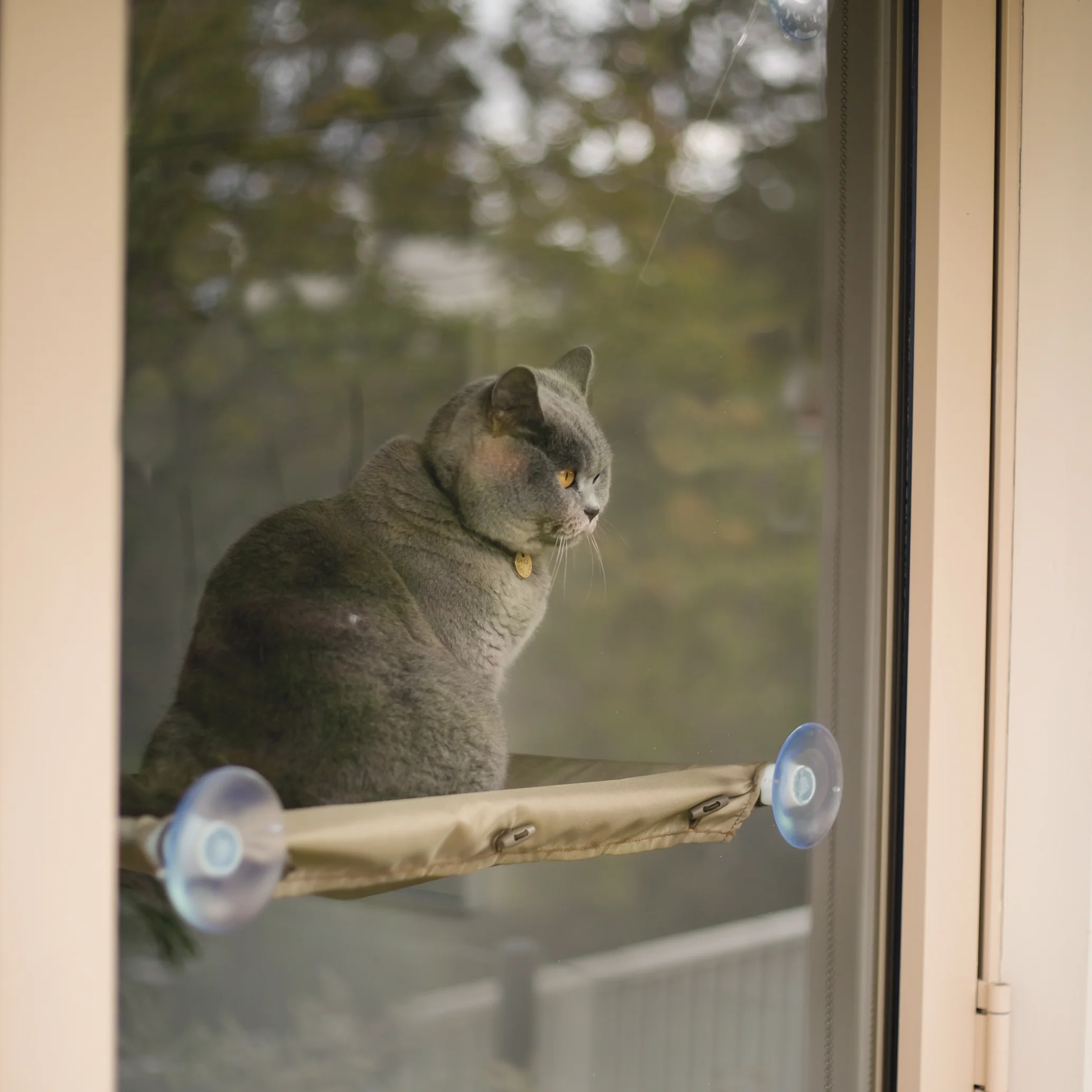 The Lookout Deluxe Cat Window Bed - Image 2