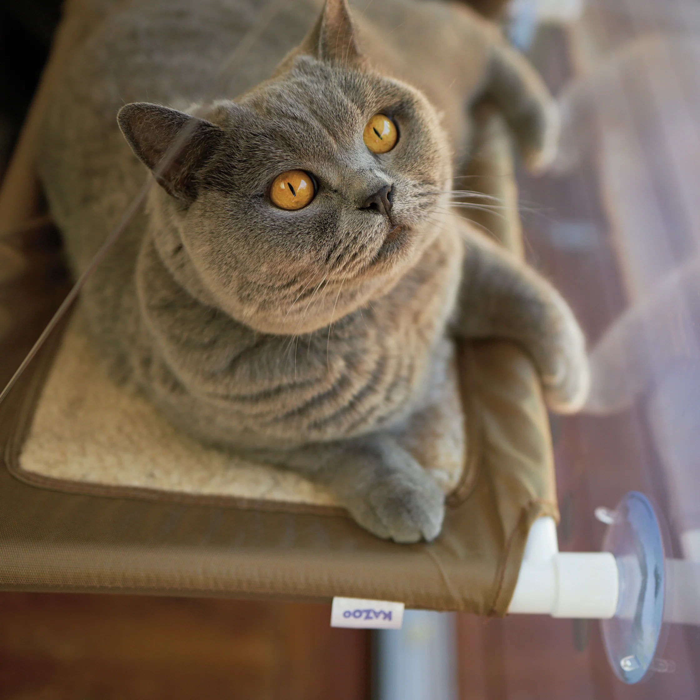 The Lookout Deluxe Cat Window Bed - Image 5
