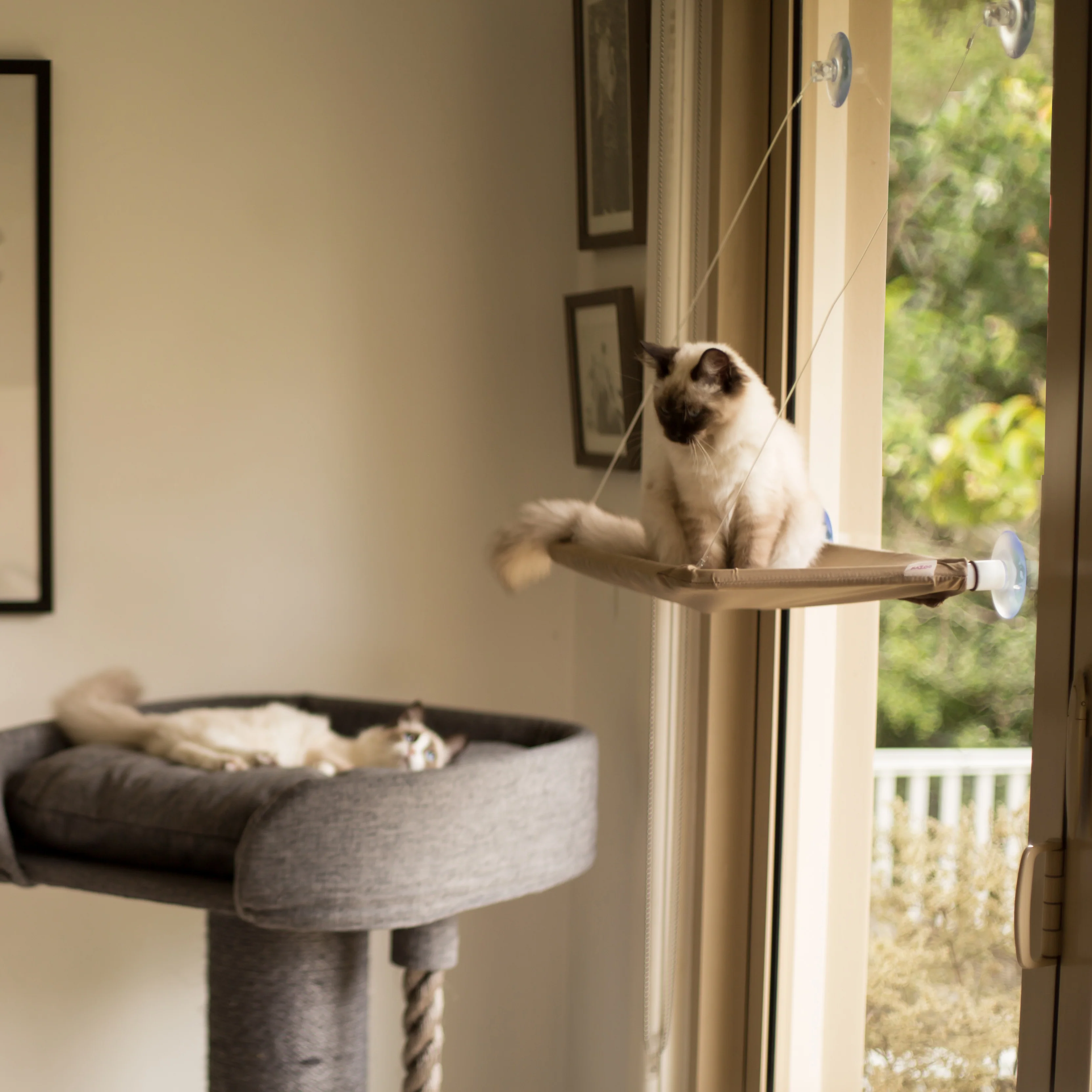 The Lookout Deluxe Cat Window Bed - Image 6