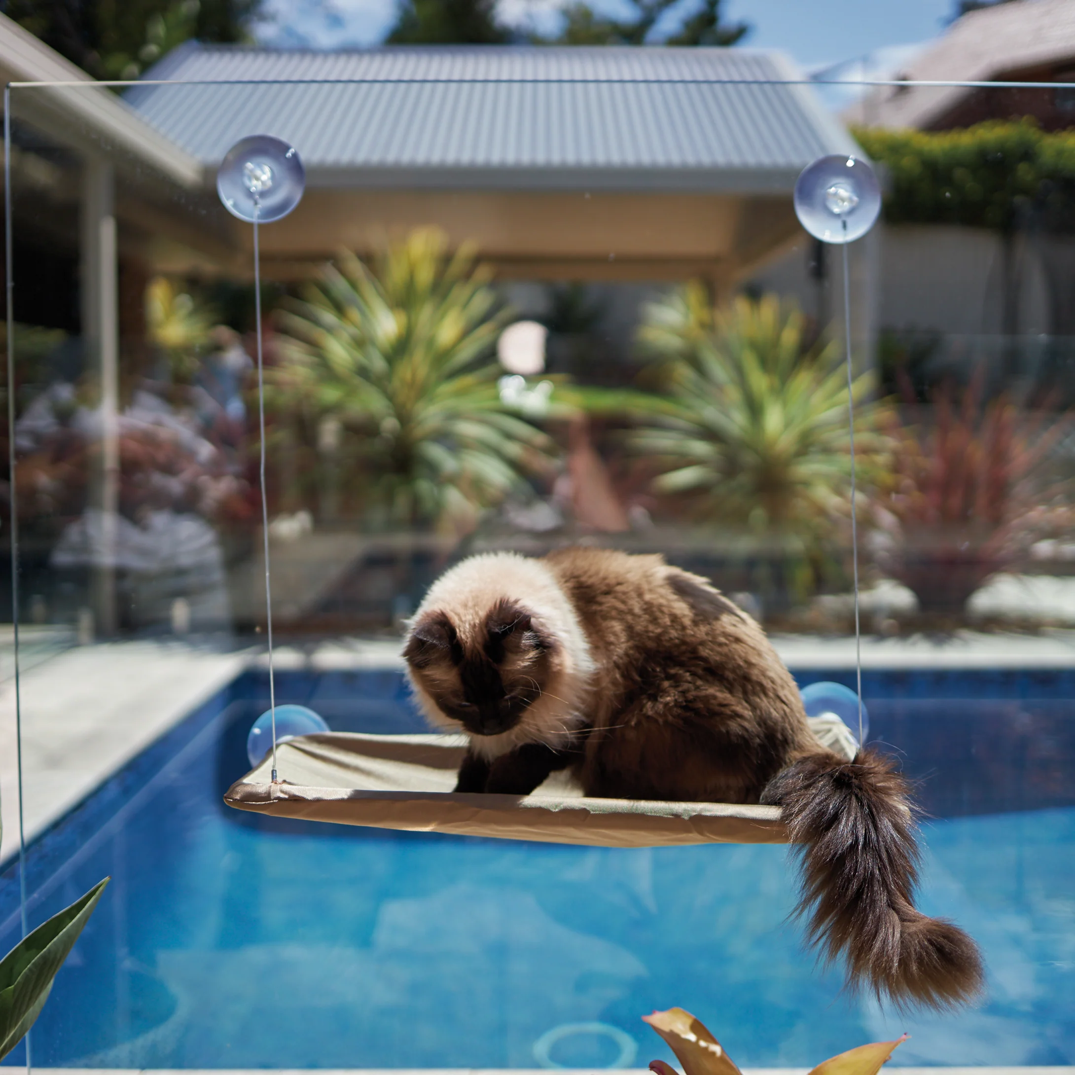 The Lookout Cat Window Bed - Image 11
