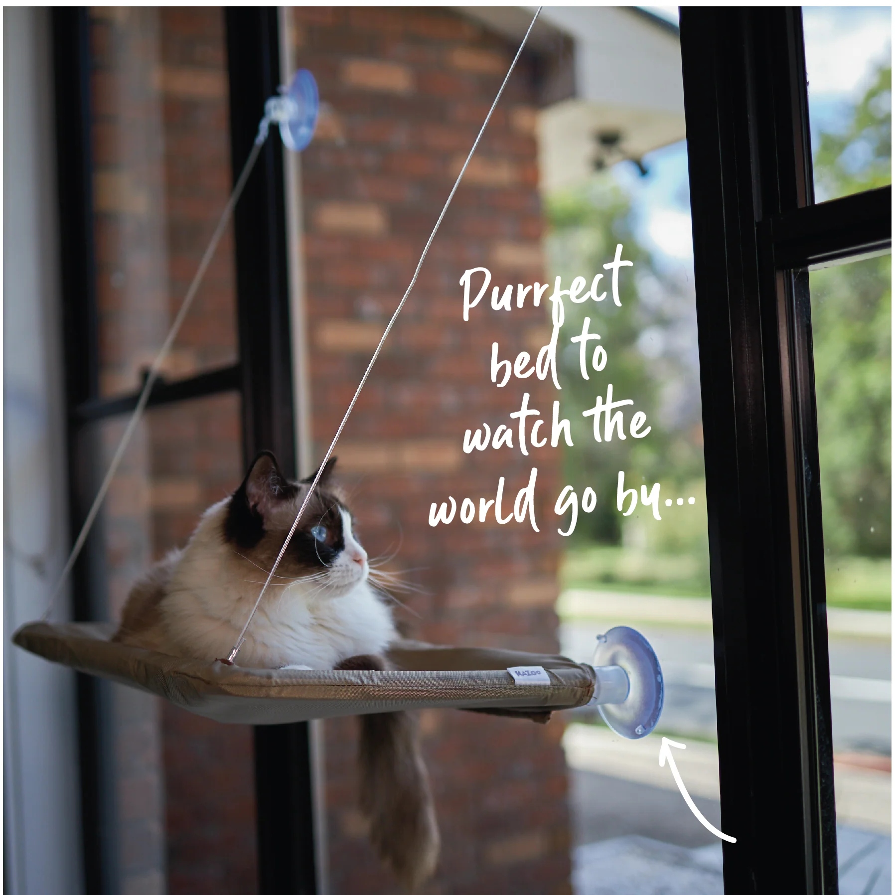 The Lookout Cat Window Bed - Image 6