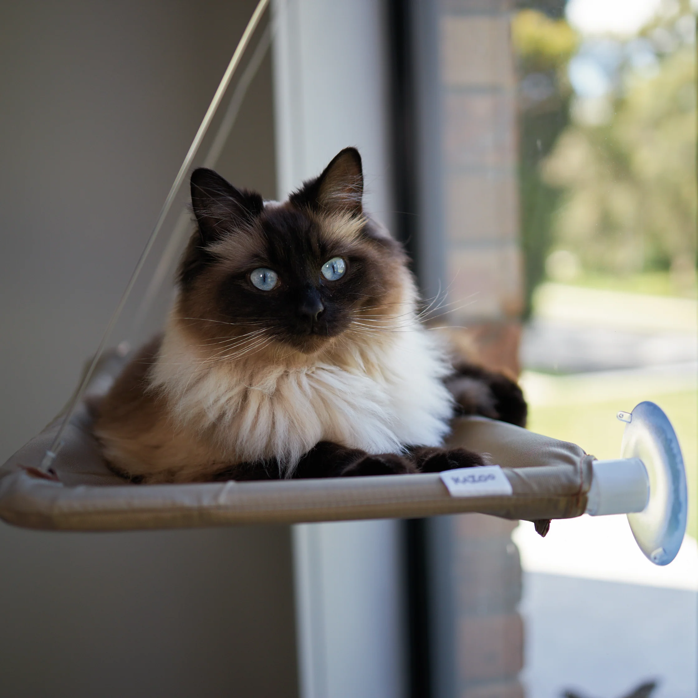 The Lookout Cat Window Bed - Image 7