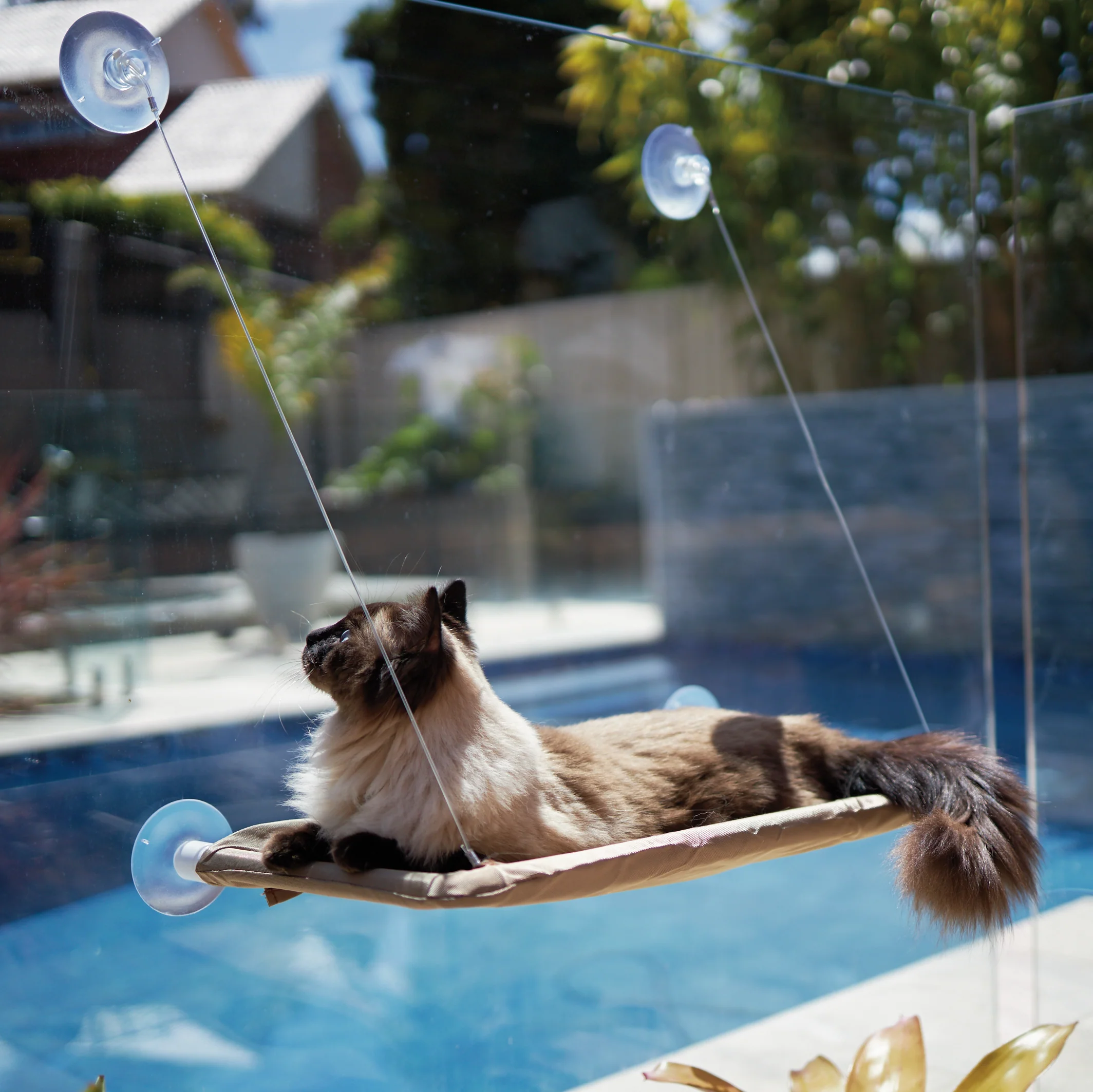 The Lookout Cat Window Bed - Image 9