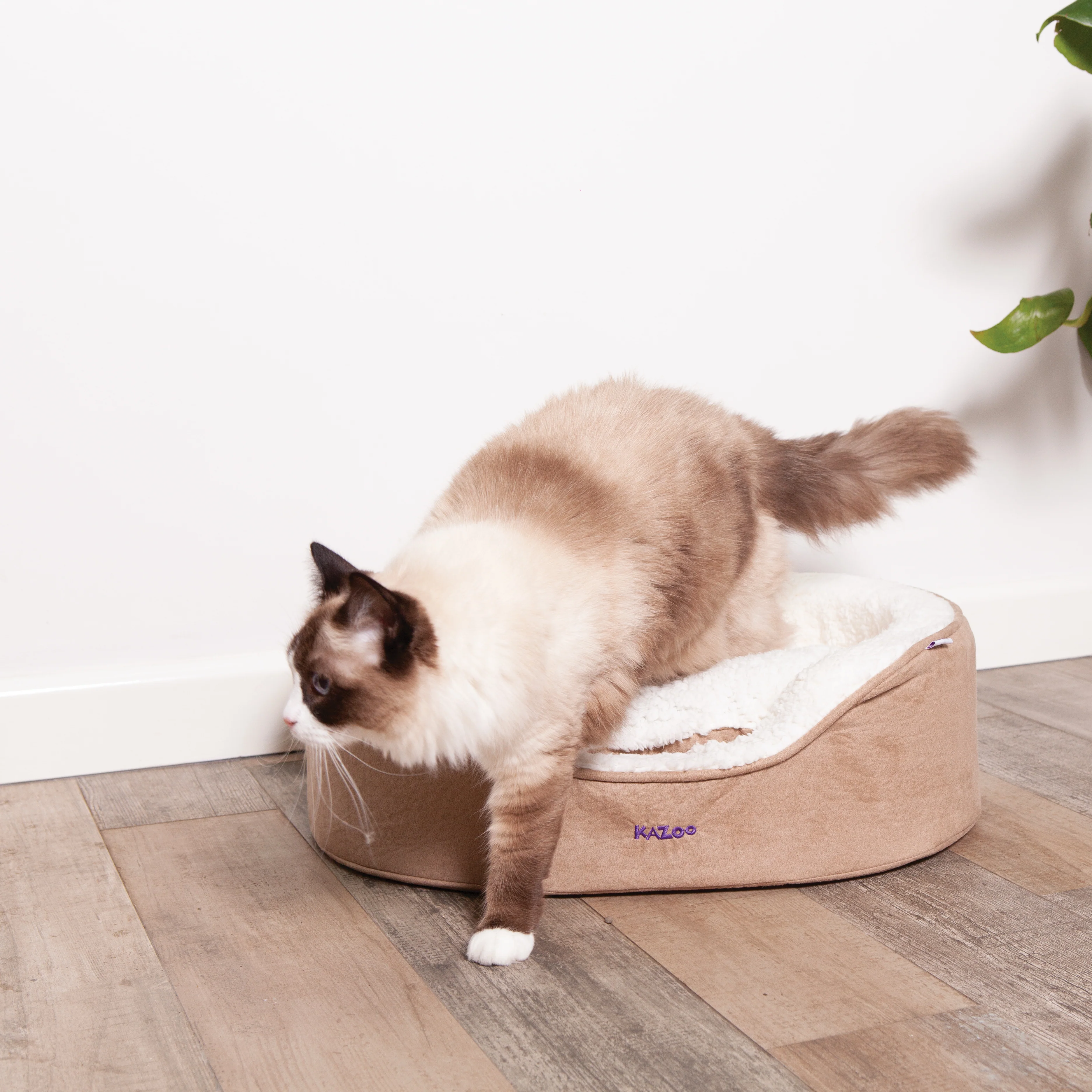 Manhattan Bed - Coffee & White - Cat - Image 6