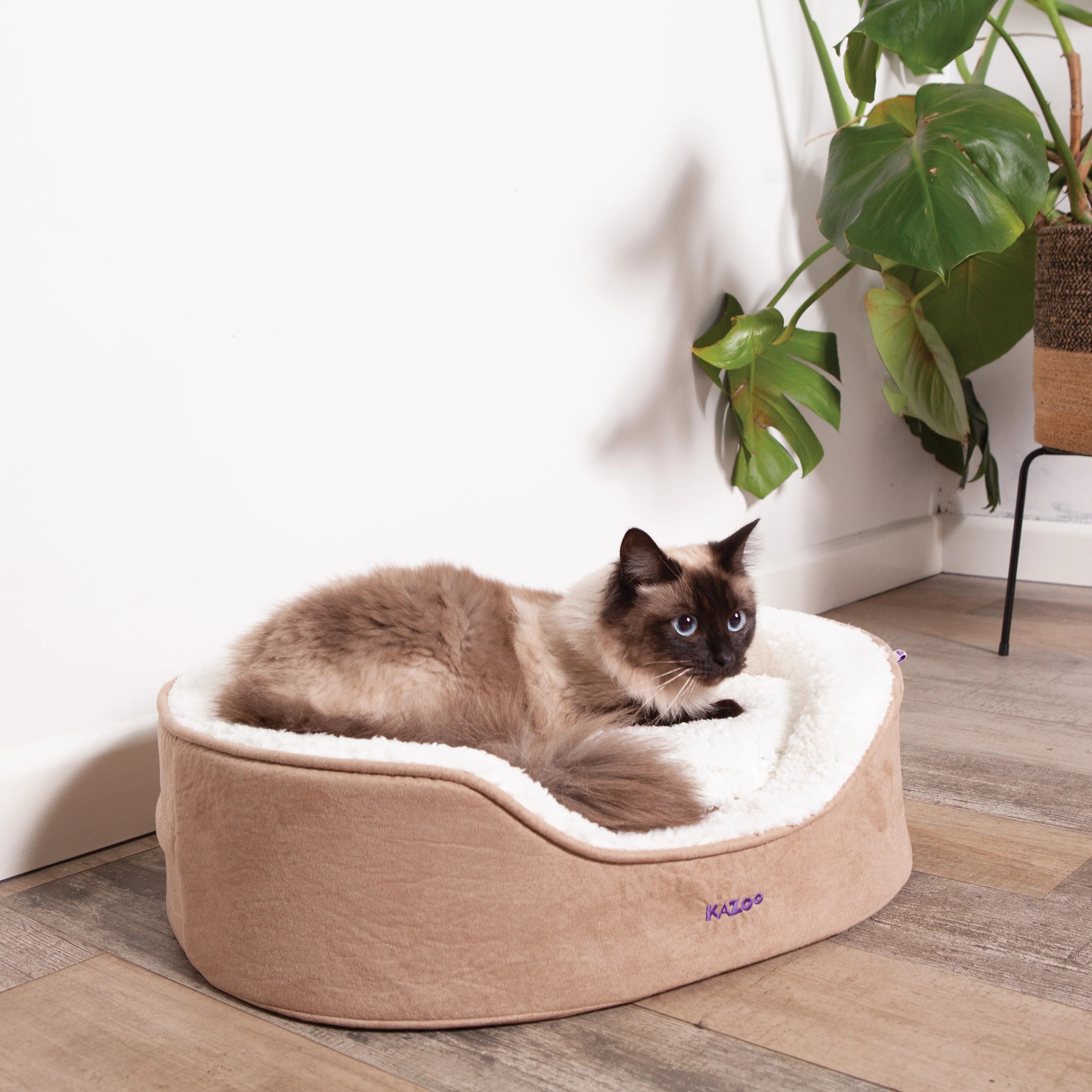 Manhattan Bed - Coffee & White - Cat - Image 7