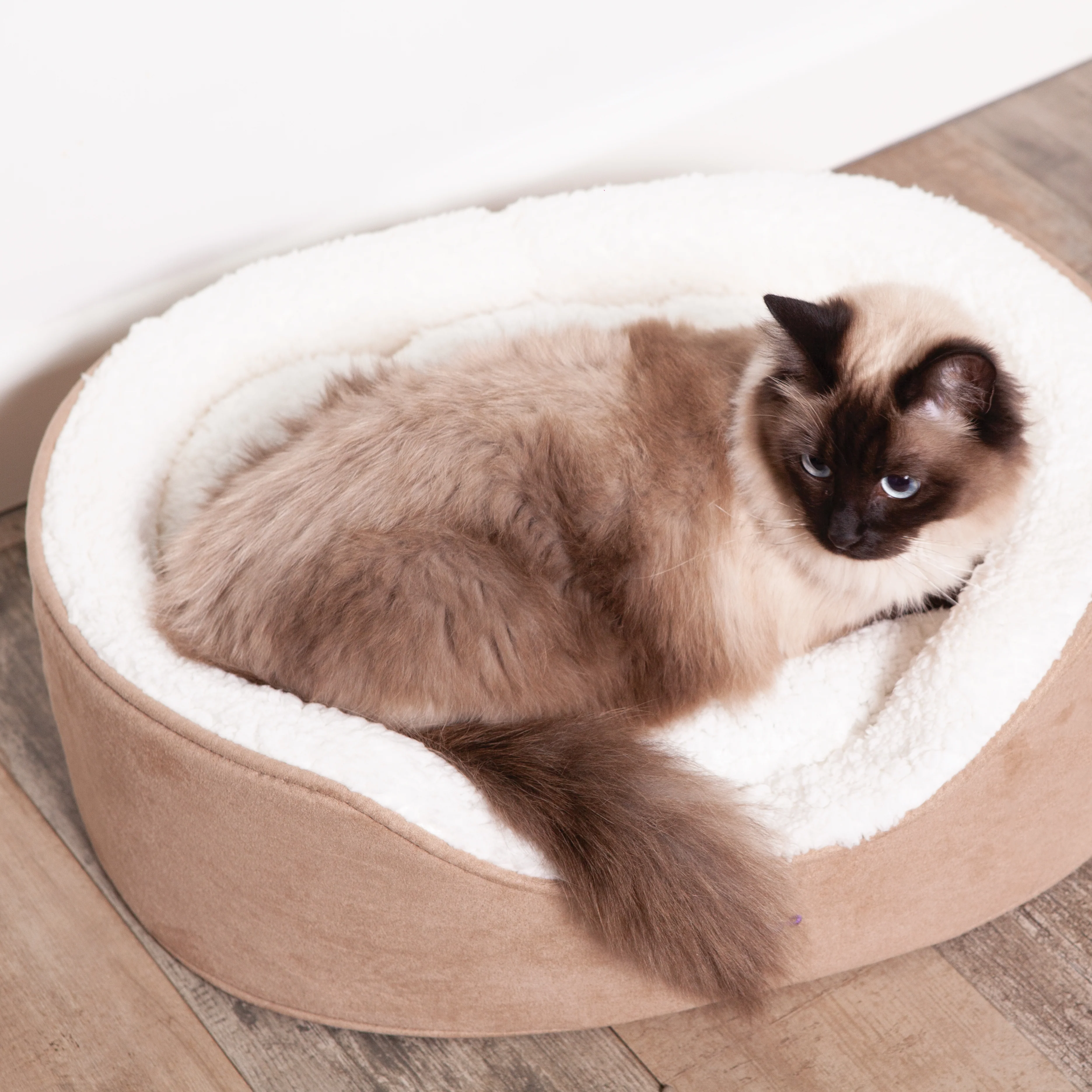 Manhattan Bed - Coffee & White - Cat - Image 9