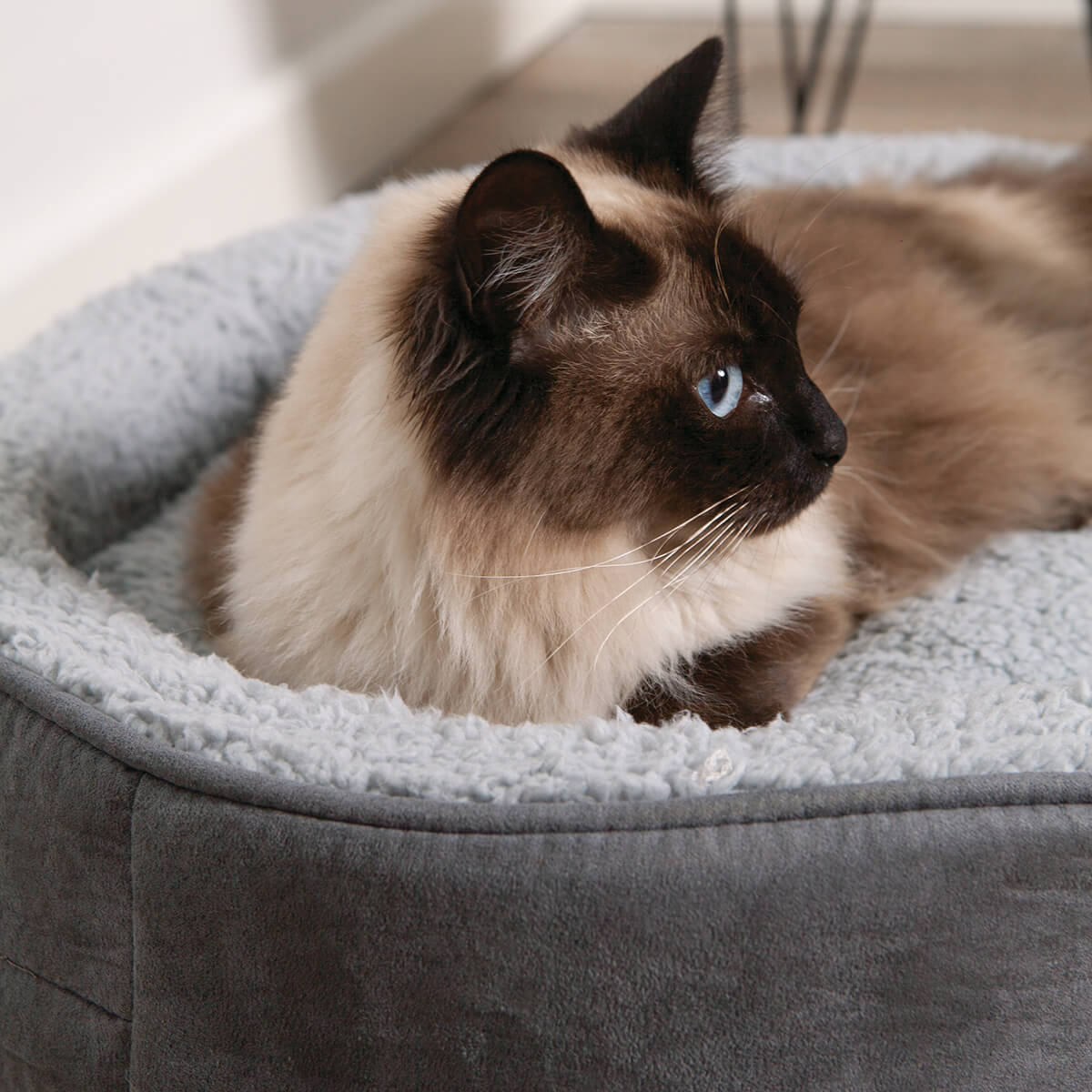 Manhattan Bed - Grey & White - Cat - Image 3