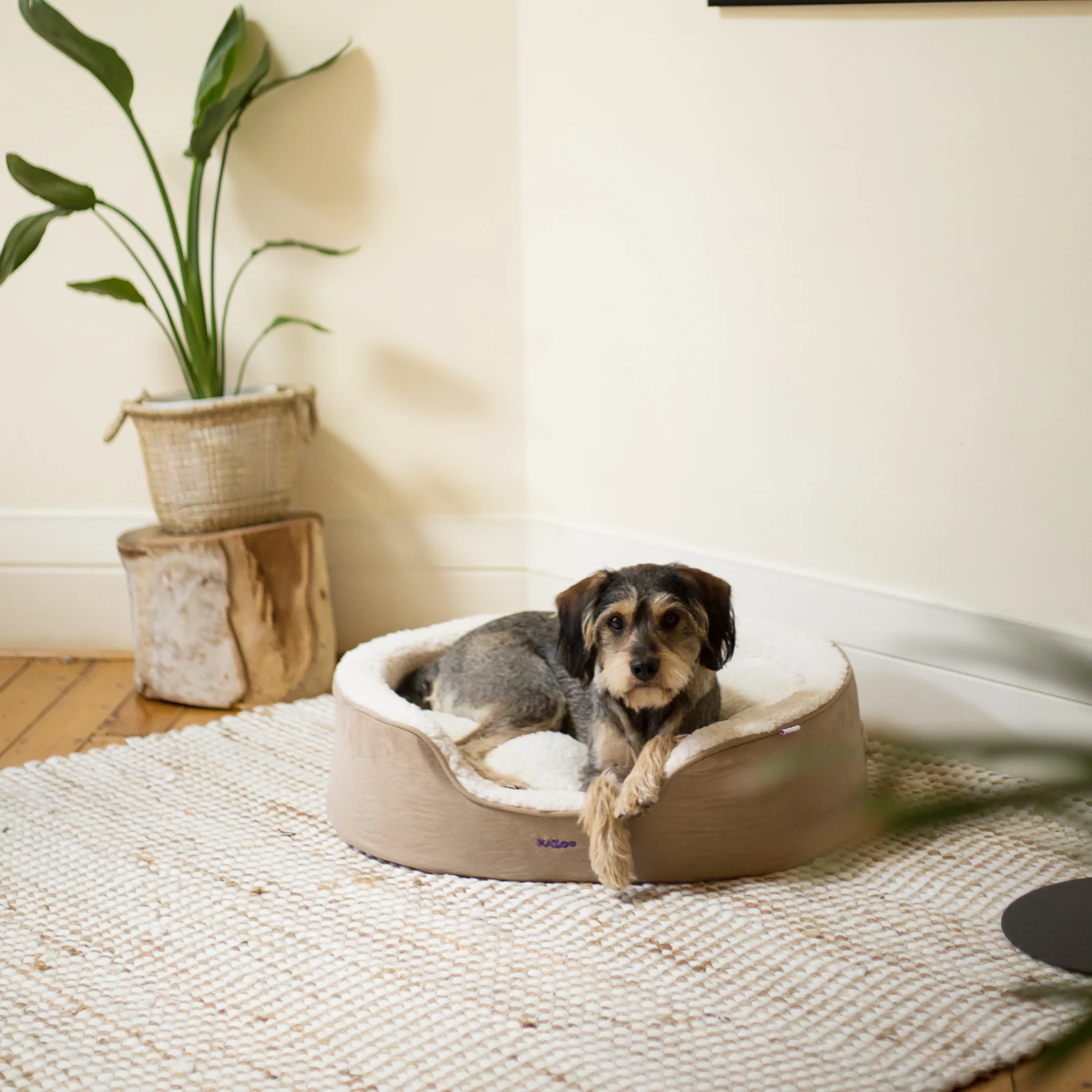 Manhattan Dog Bed - Coffee & White - Image 5