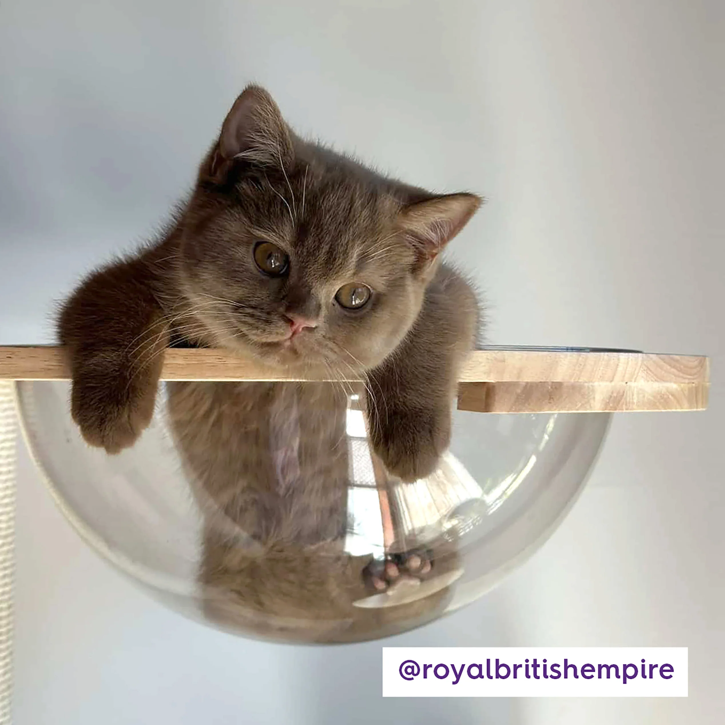 Multi Level Scandi Cat Tower - Image 3
