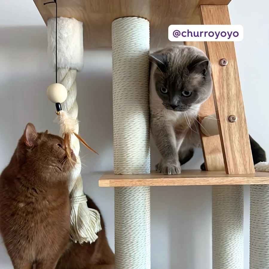 Multi Level Scandi Cat Tower - Image 5
