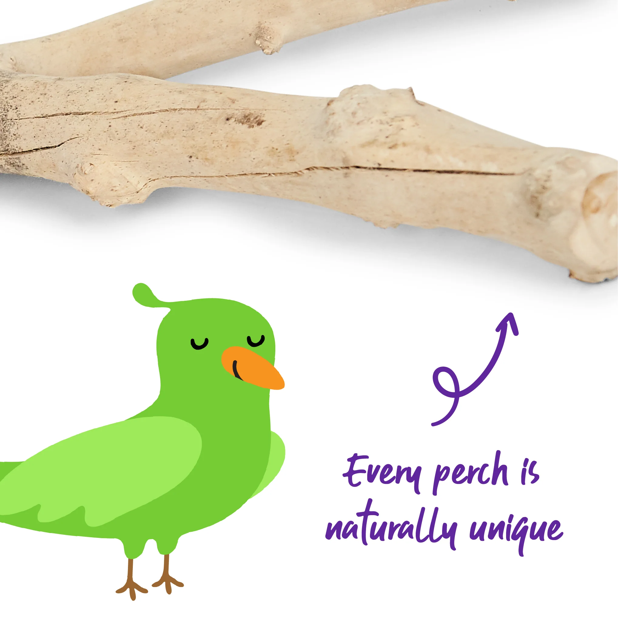 Natural Branch Bird Perch - Image 2