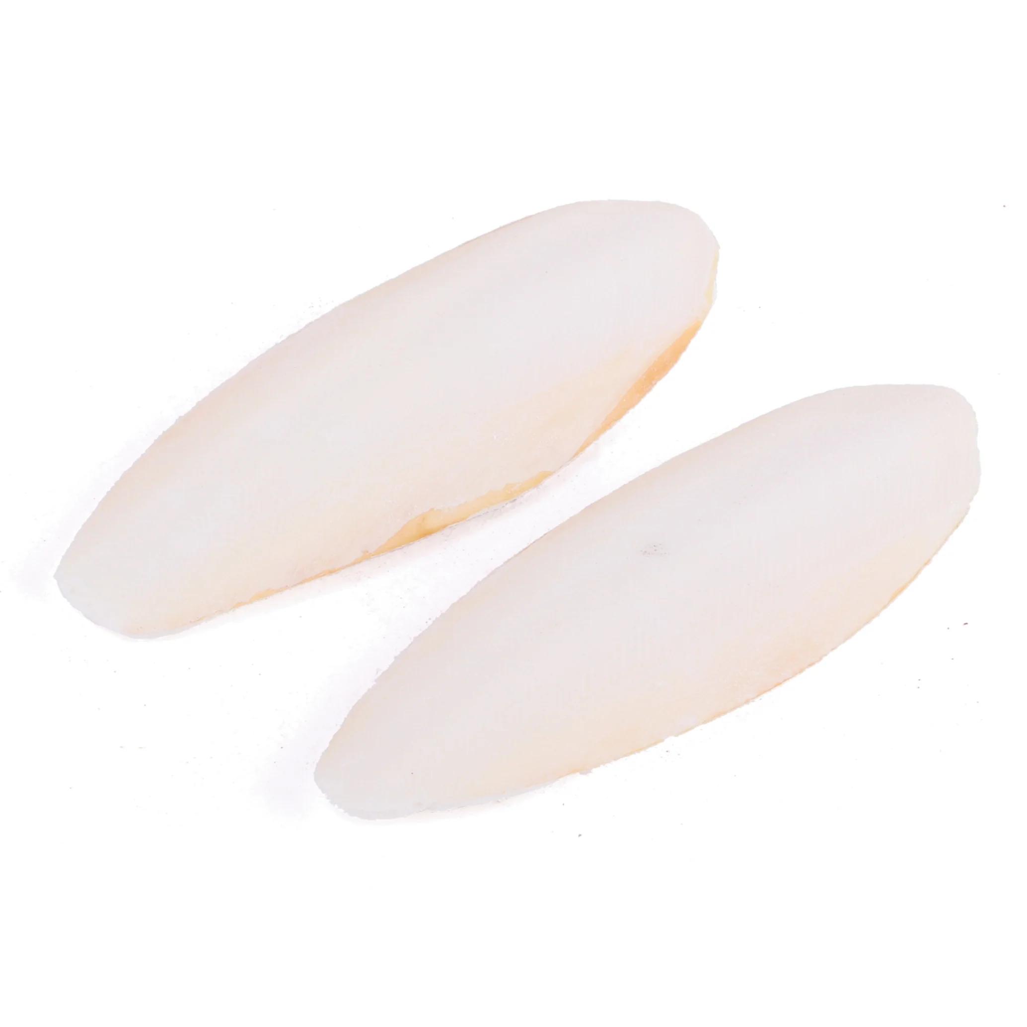 Natural Bird Cuttlebone - 2 Pack