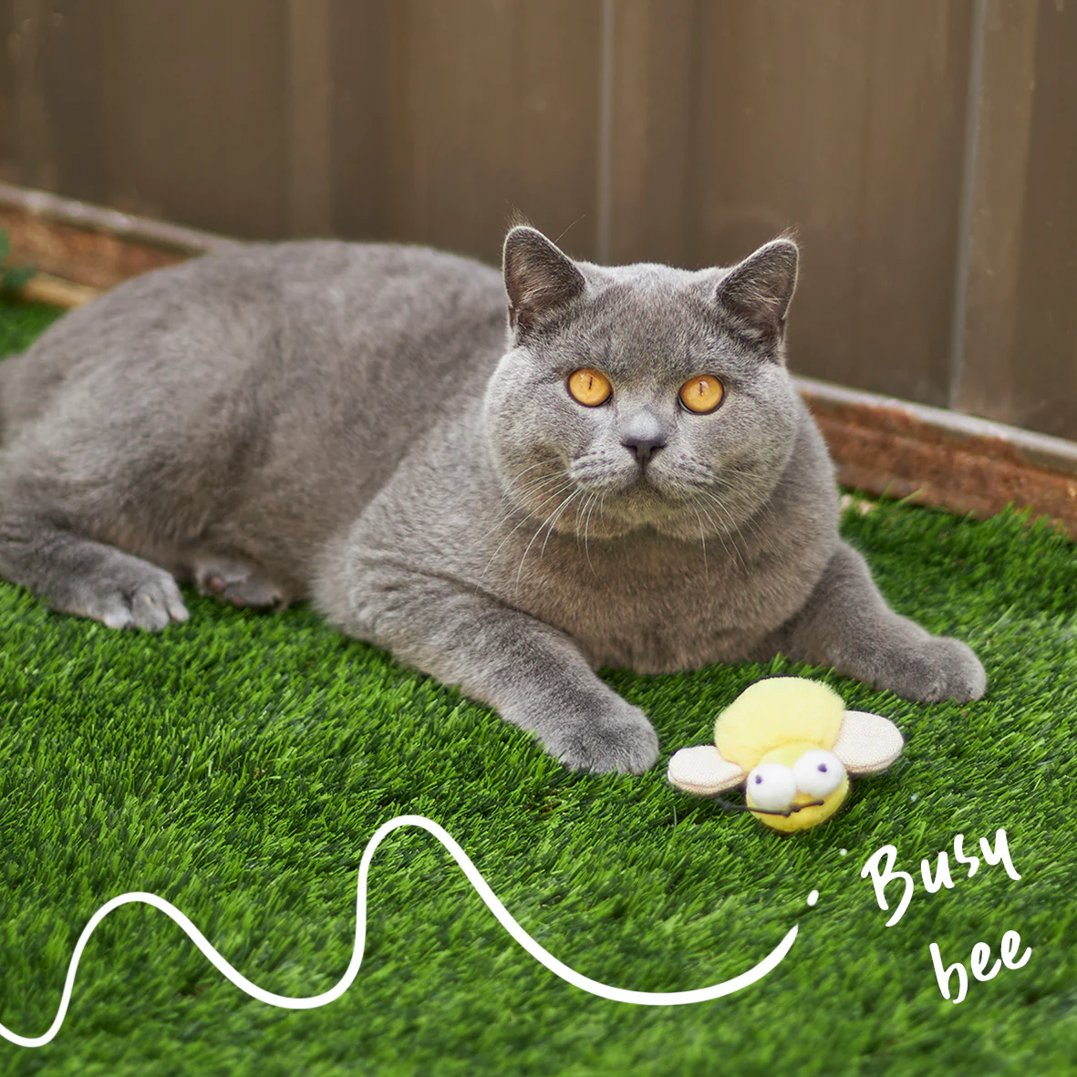 Noisy Busy Bee with sound chip and catnip - Image 2