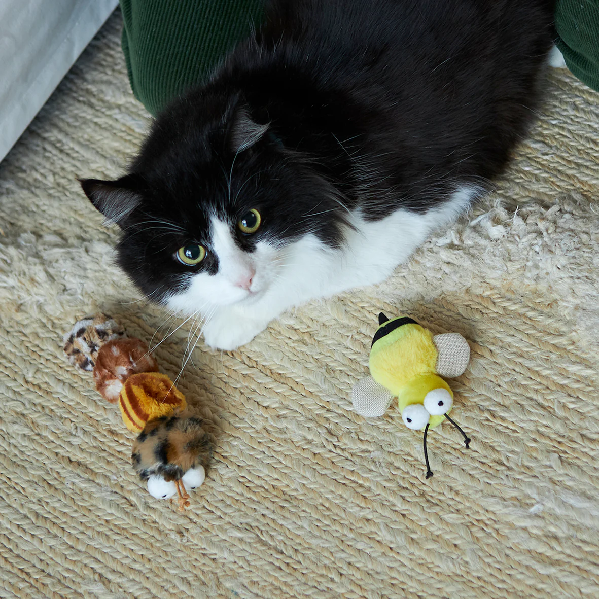 Noisy Busy Bee with sound chip and catnip - Image 3
