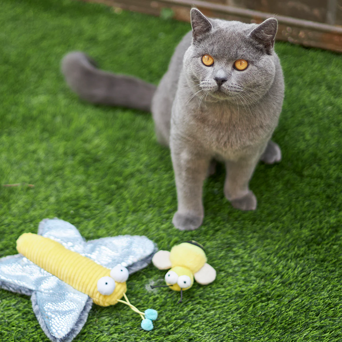 Noisy Busy Bee with sound chip and catnip - Image 5