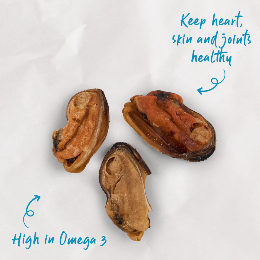 NZ Mussel Cat Treats - Image 3