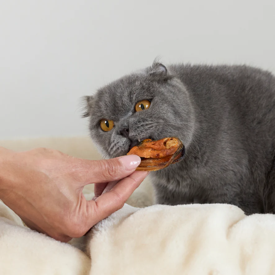 NZ Mussel Cat Treats - Image 7