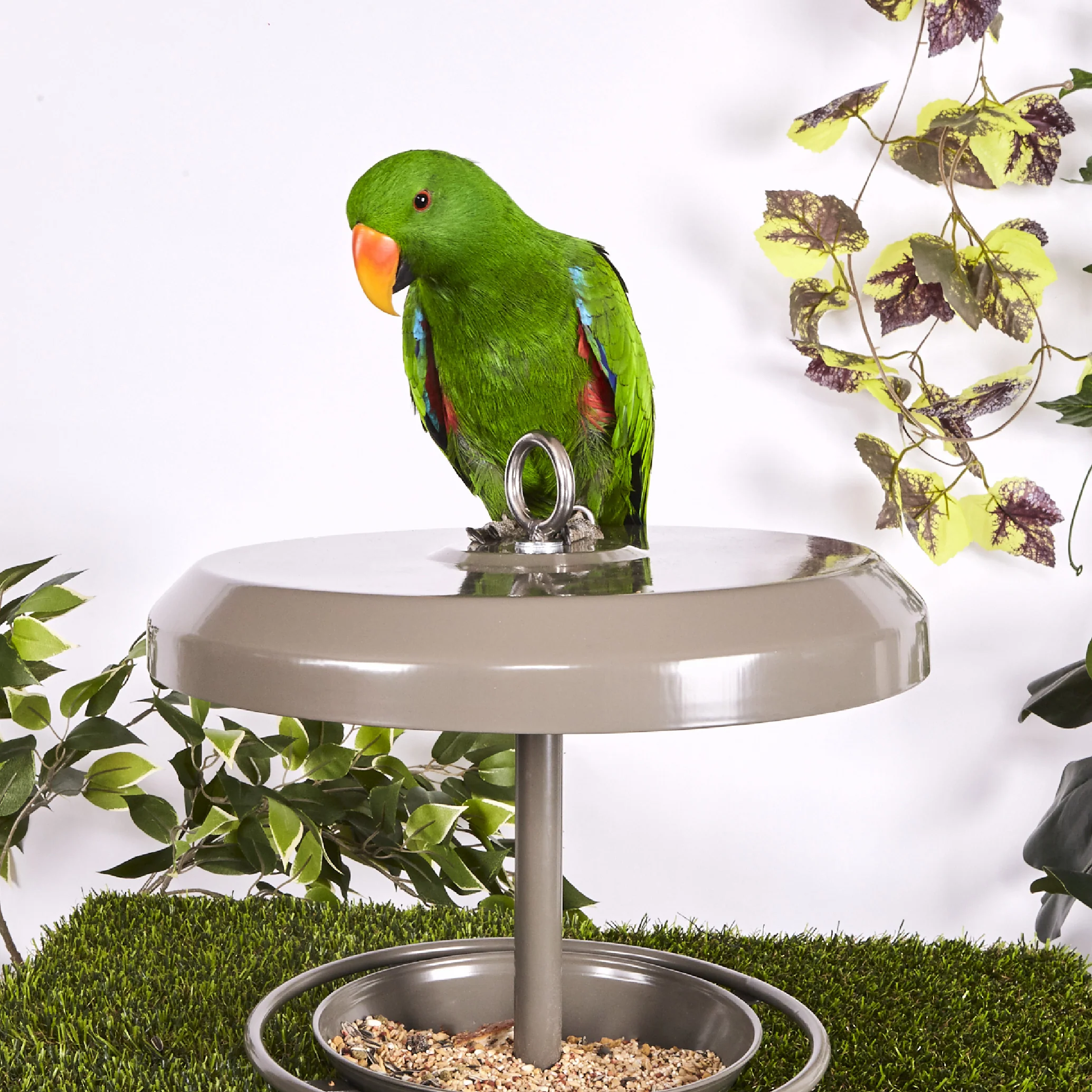 Outdoor Bird Feeder - Image 11