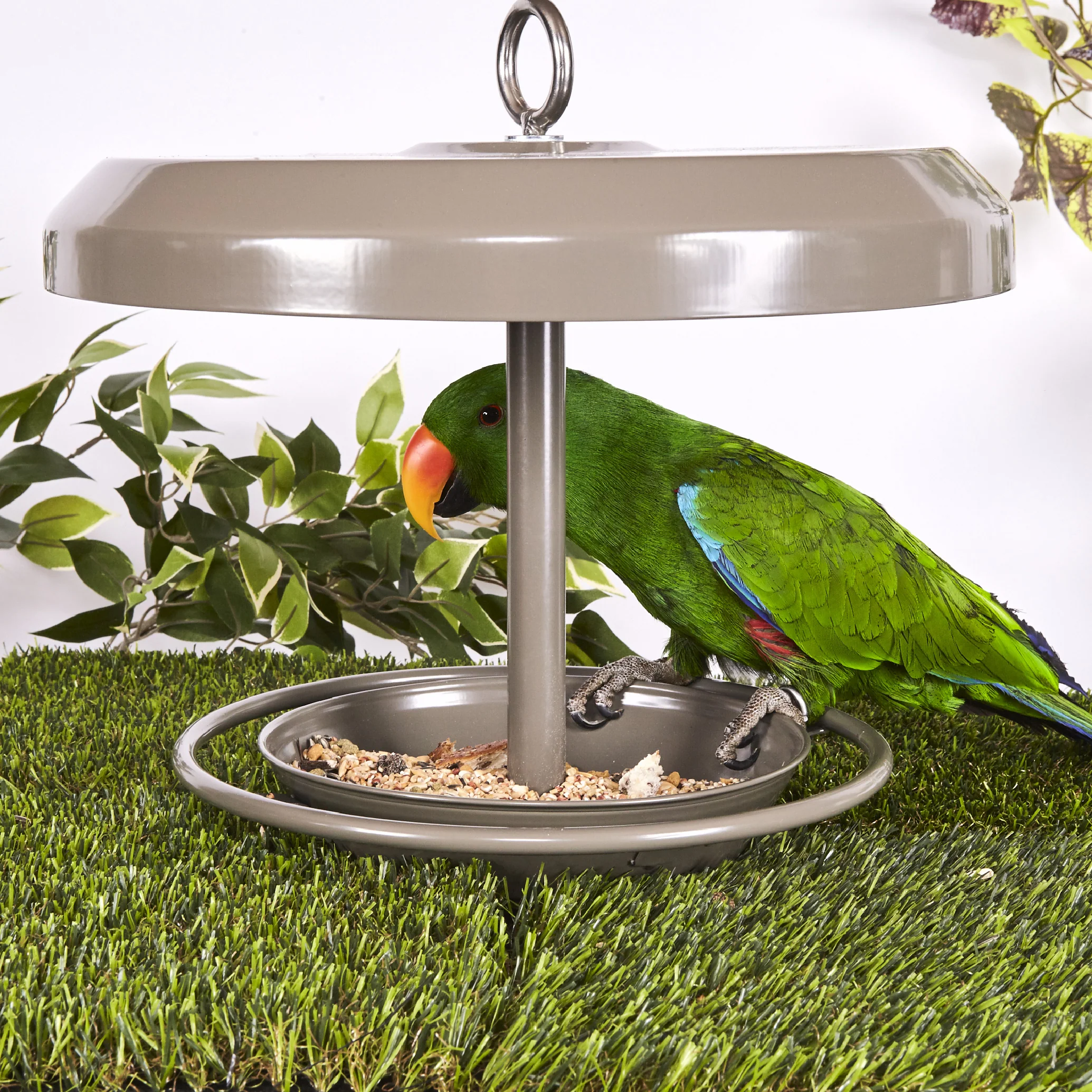 Outdoor Bird Feeder - Image 12