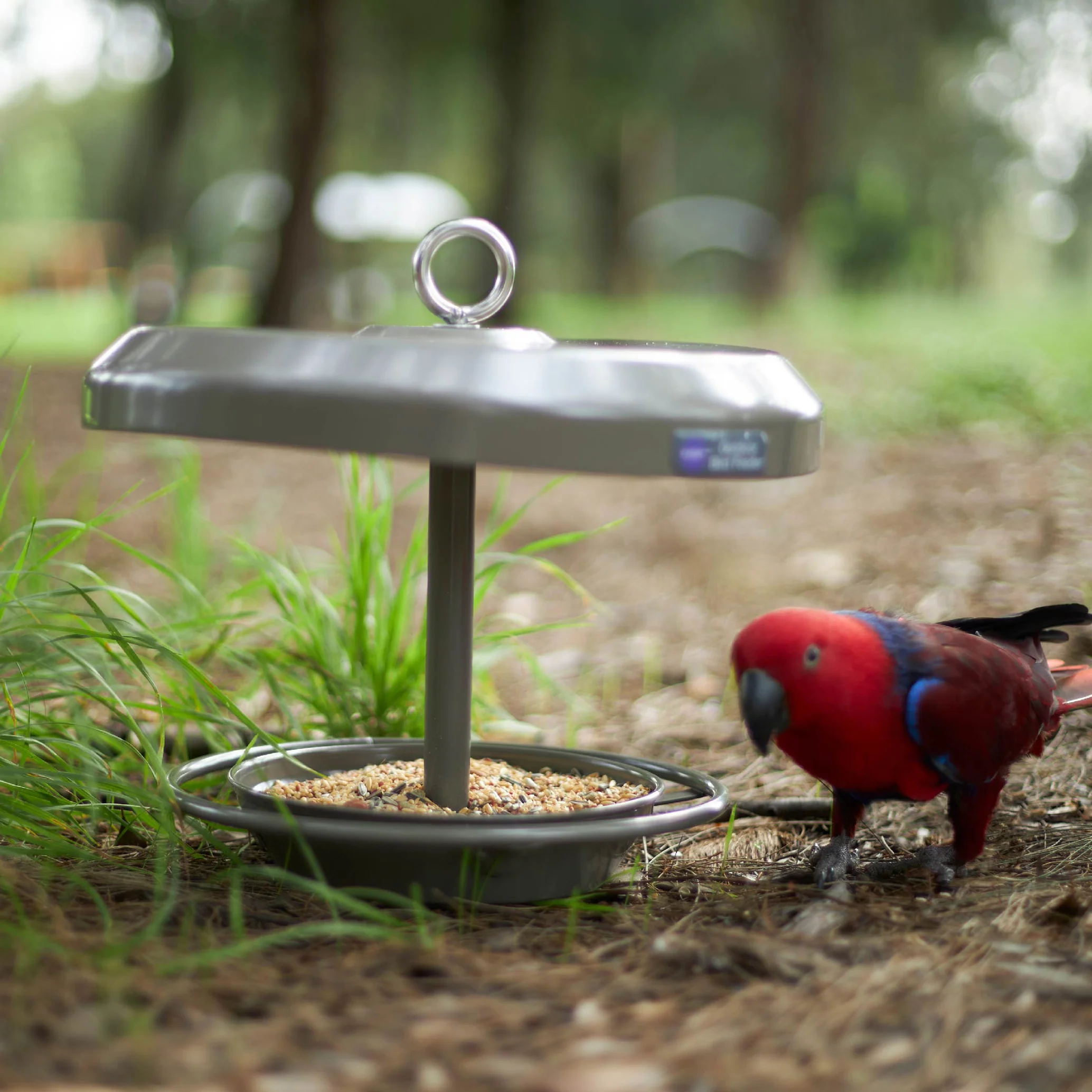 Outdoor Bird Feeder - Image 17