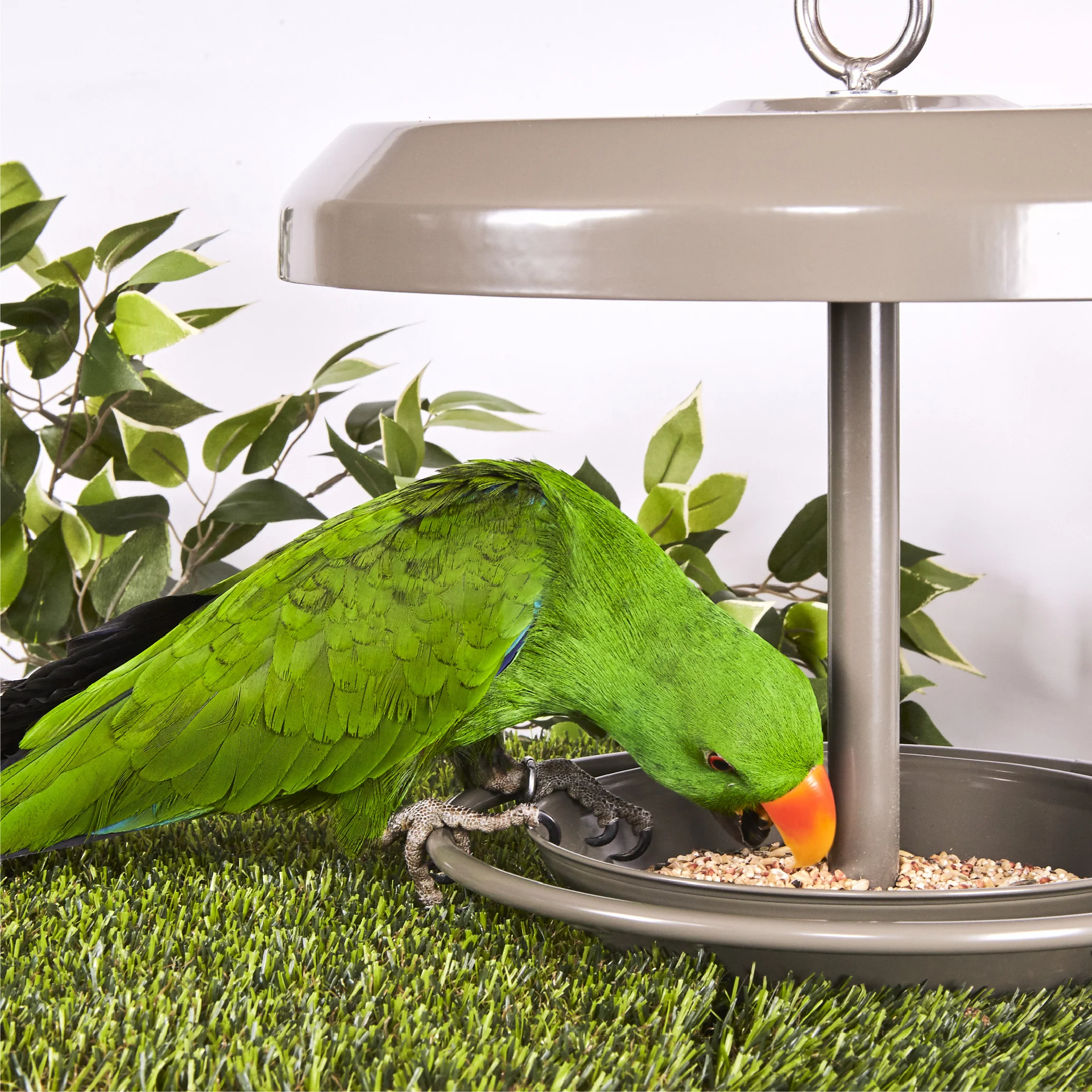 Outdoor Bird Feeder - Image 2