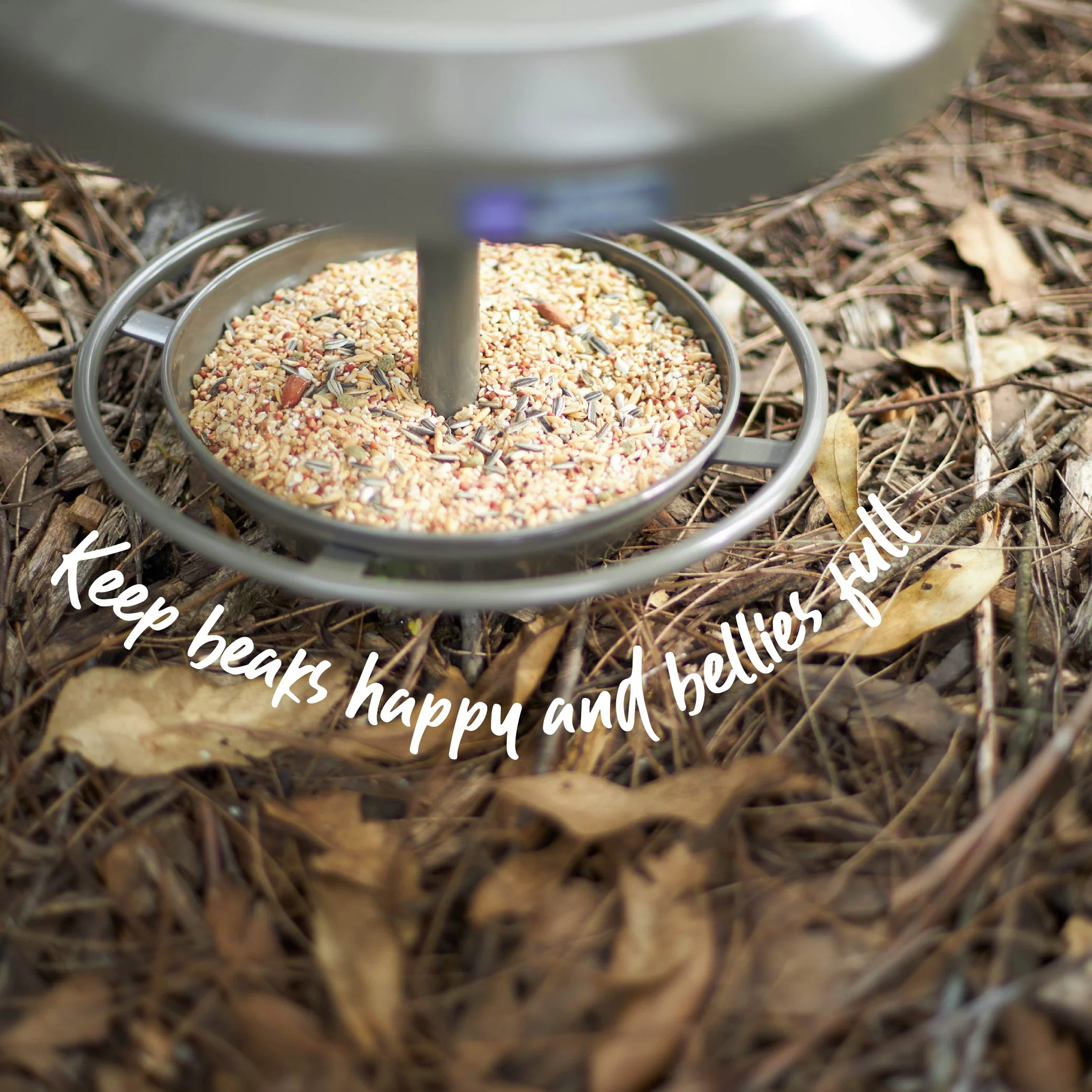 Outdoor Bird Feeder - Image 3