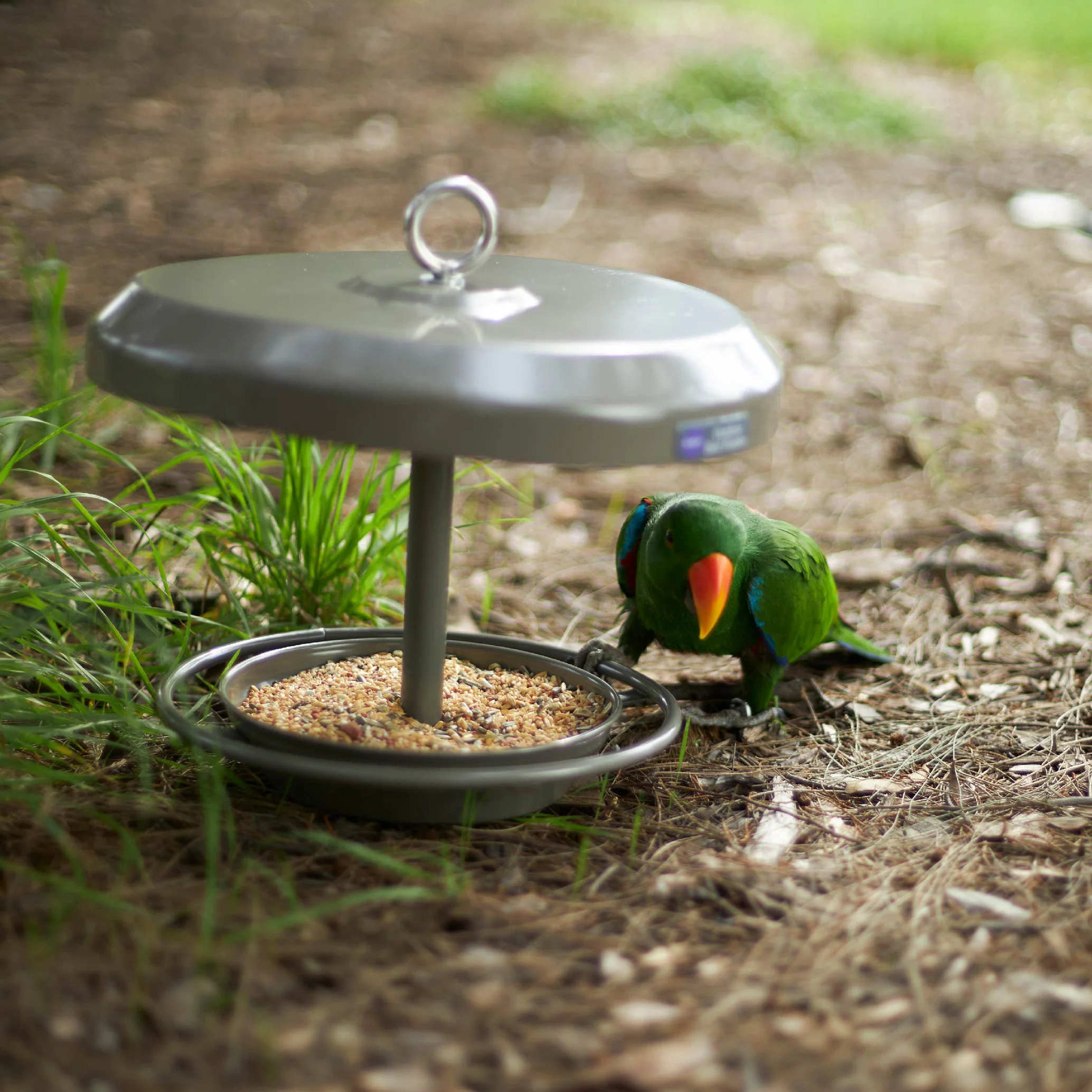 Outdoor Bird Feeder - Image 4