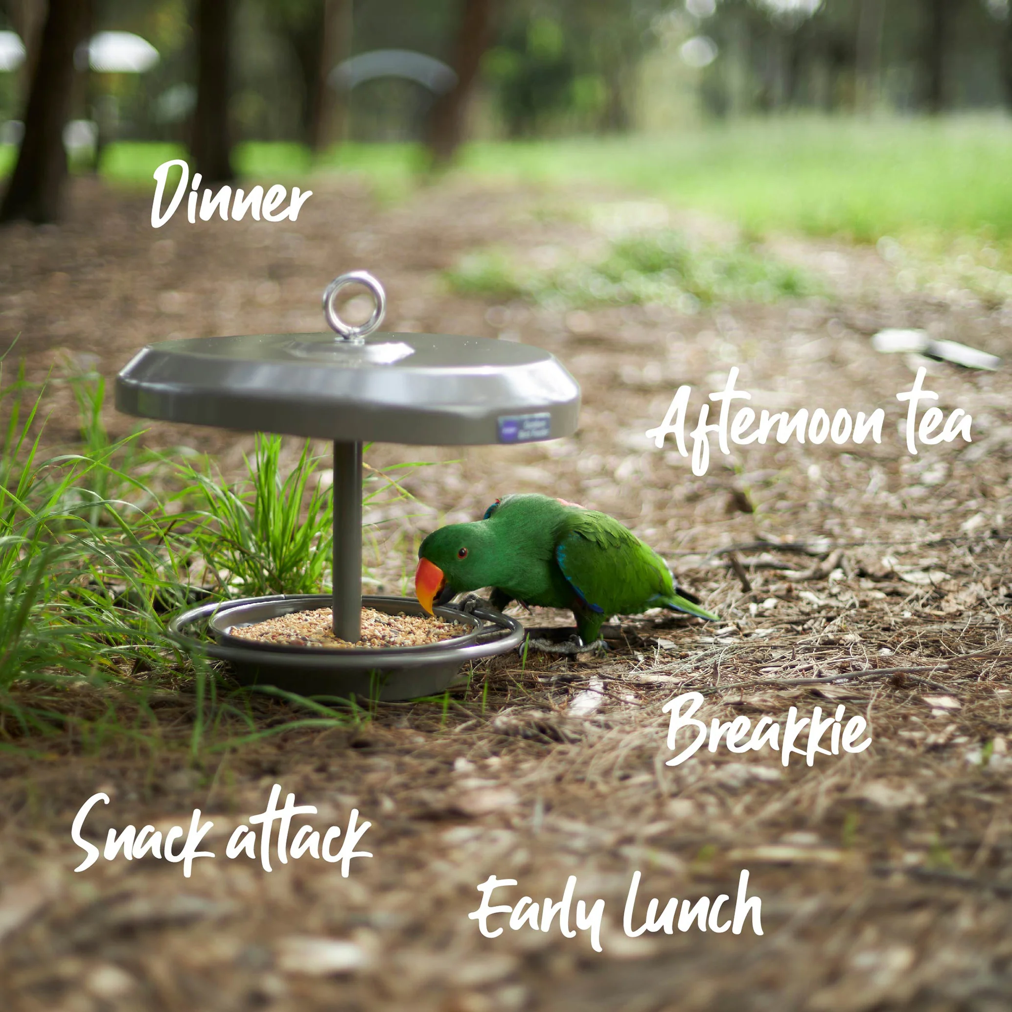 Outdoor Bird Feeder - Image 7