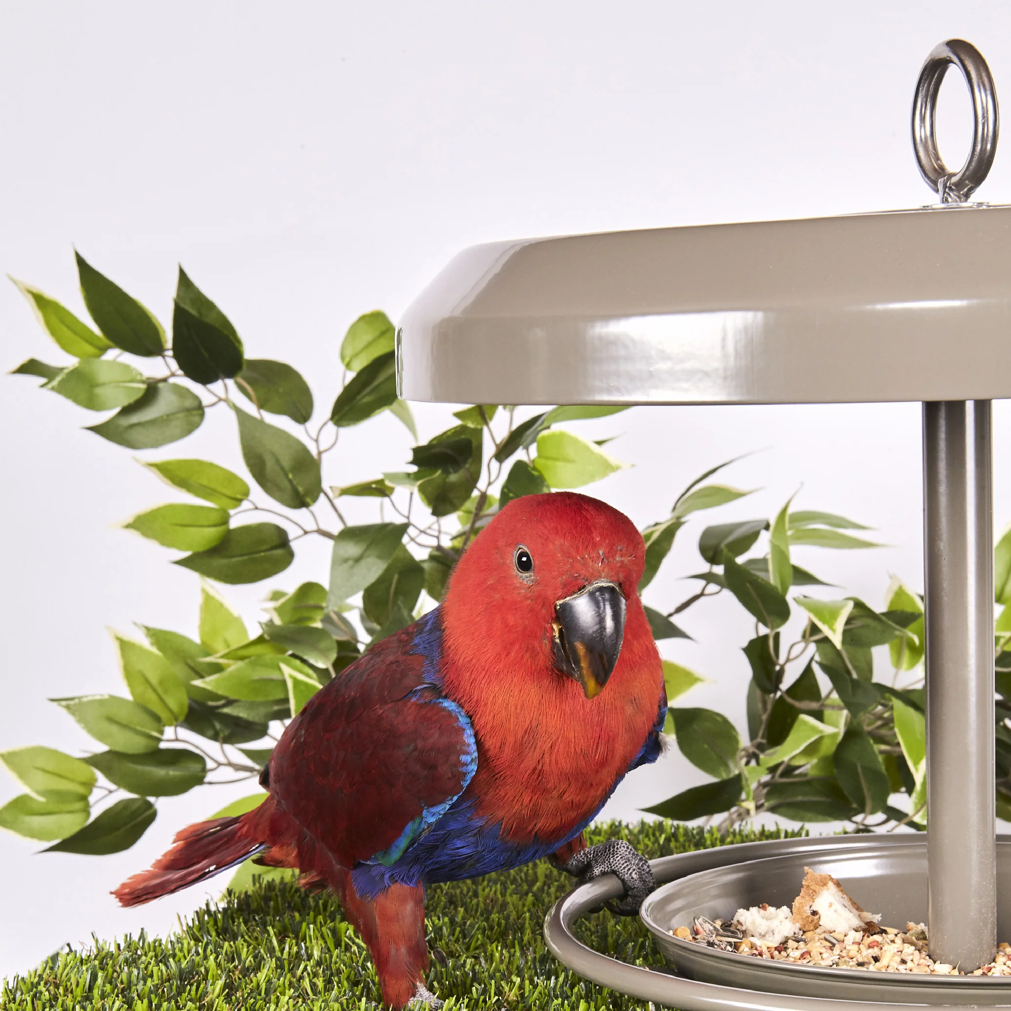 Outdoor Bird Feeder - Image 8