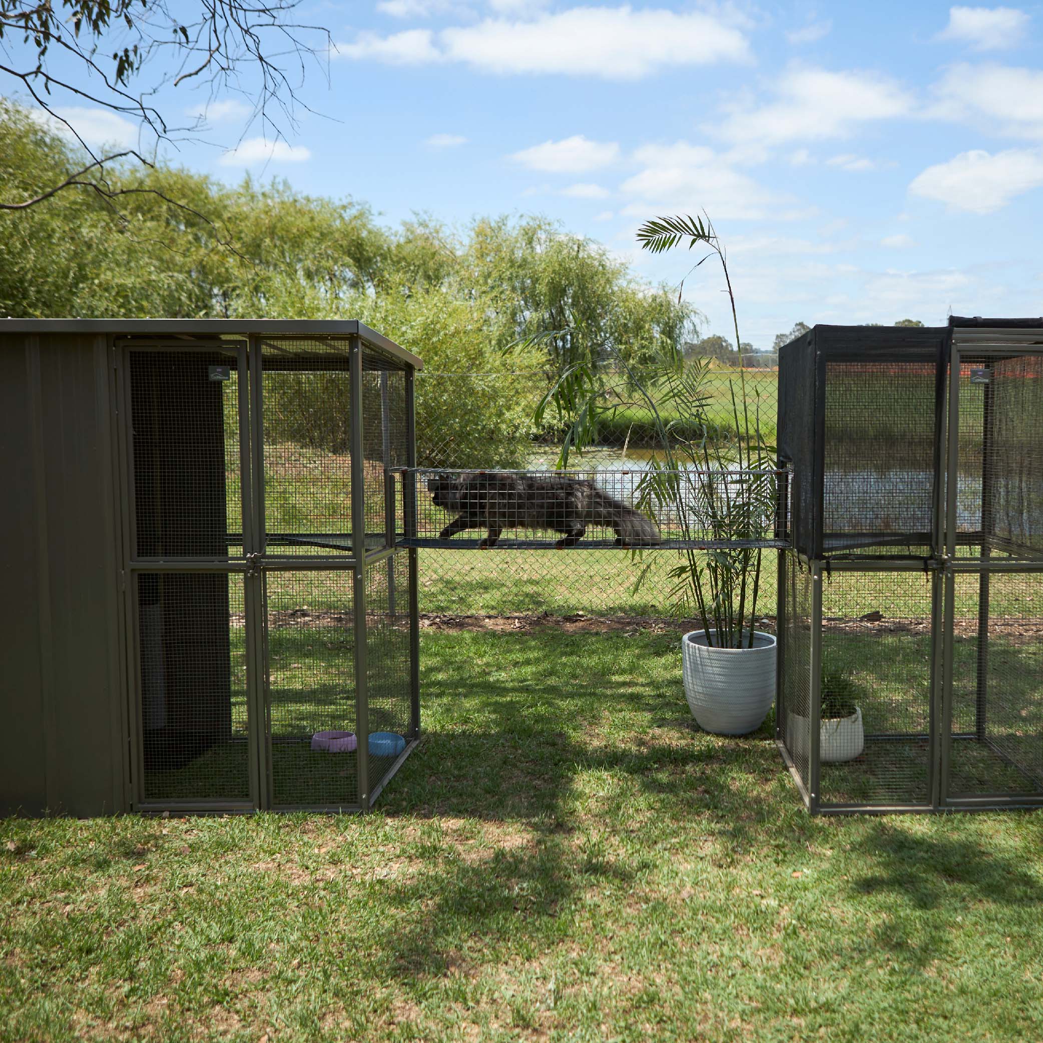 Outdoor Cat House Enclosure - Image 3