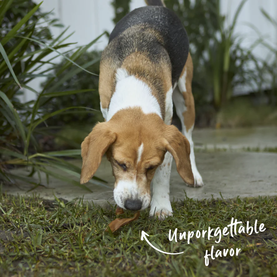 Pig Ear Strips Dog Treats - Image 7