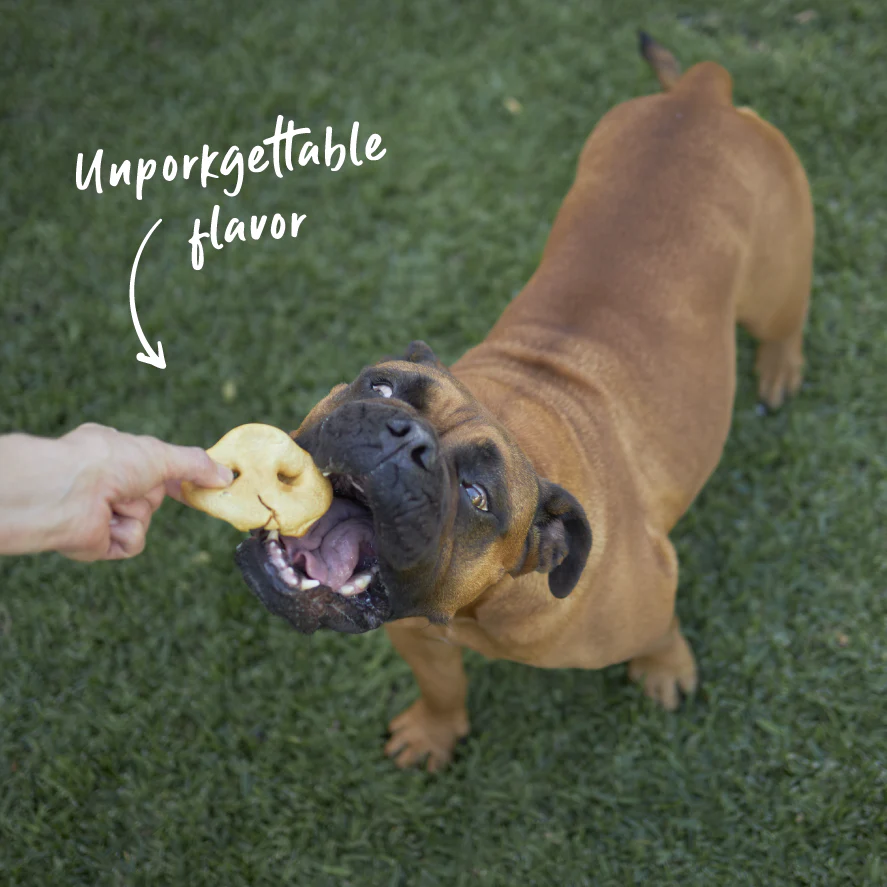 Puffy Pig Snout Dog Treats - Image 2